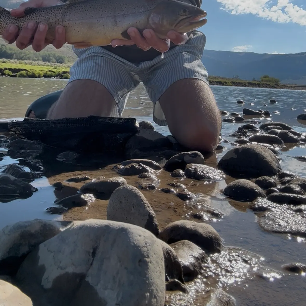 Cutthroat trout caught on Fishbrain