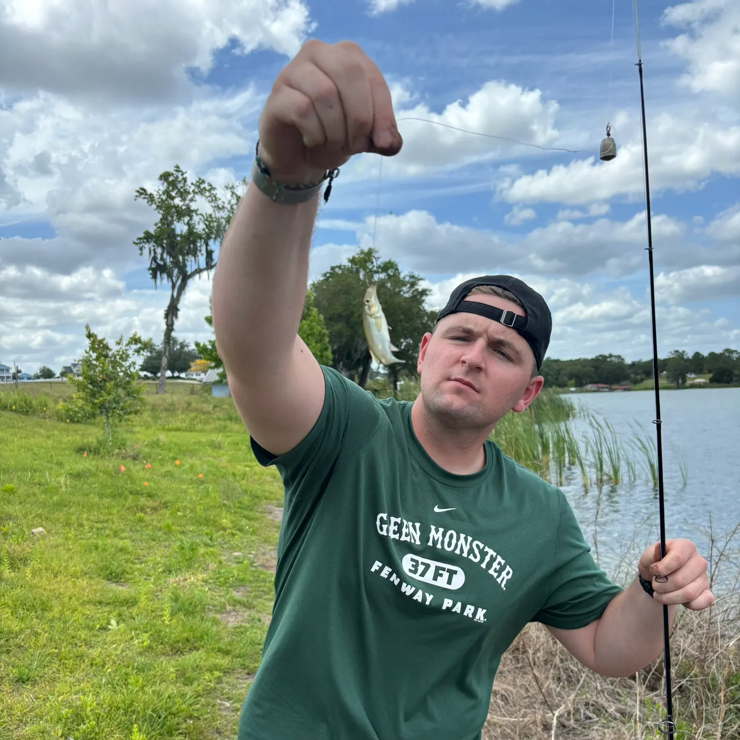 The most recent Ladyfish catches on Fishbrain