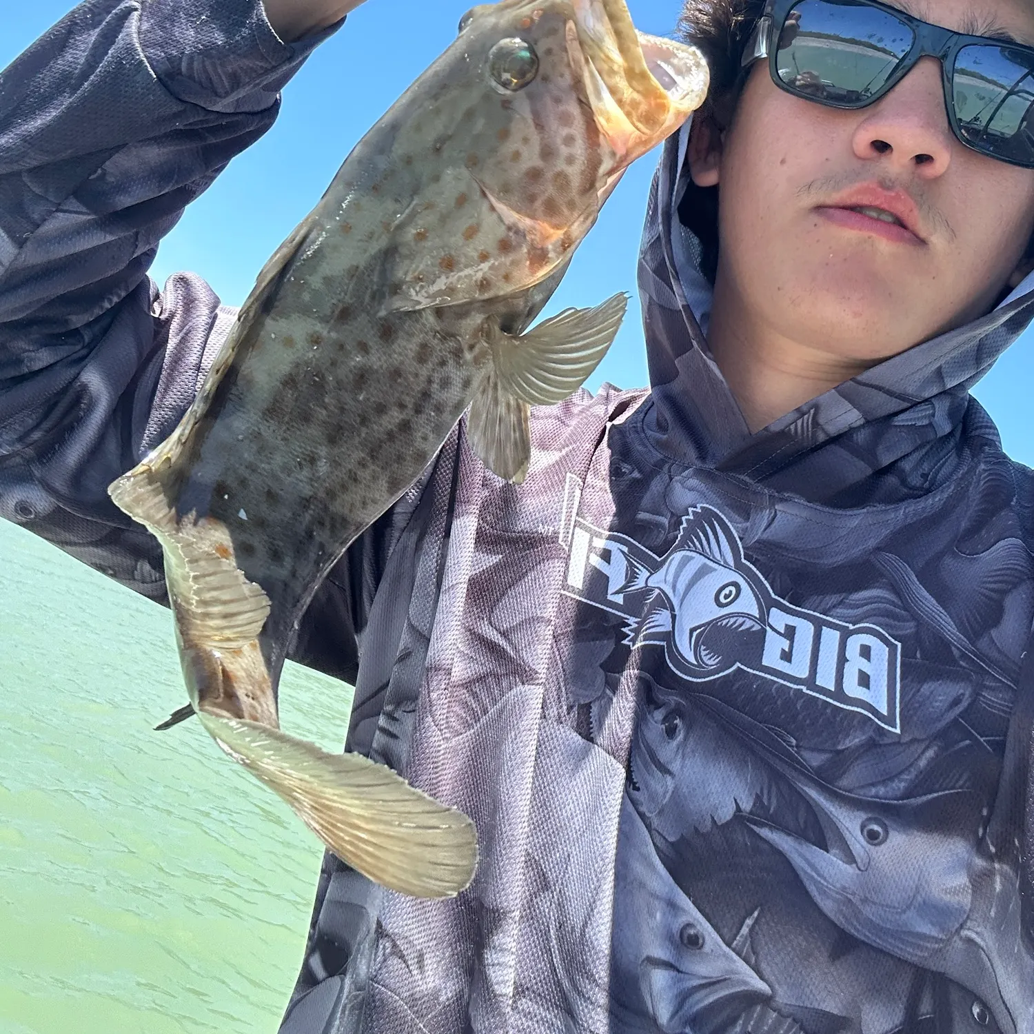 The most recent Areolate grouper catches on Fishbrain
