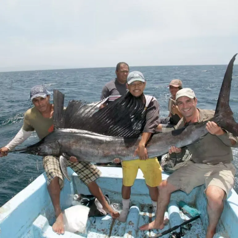 The most recent Atlantic sailfish catches on Fishbrain