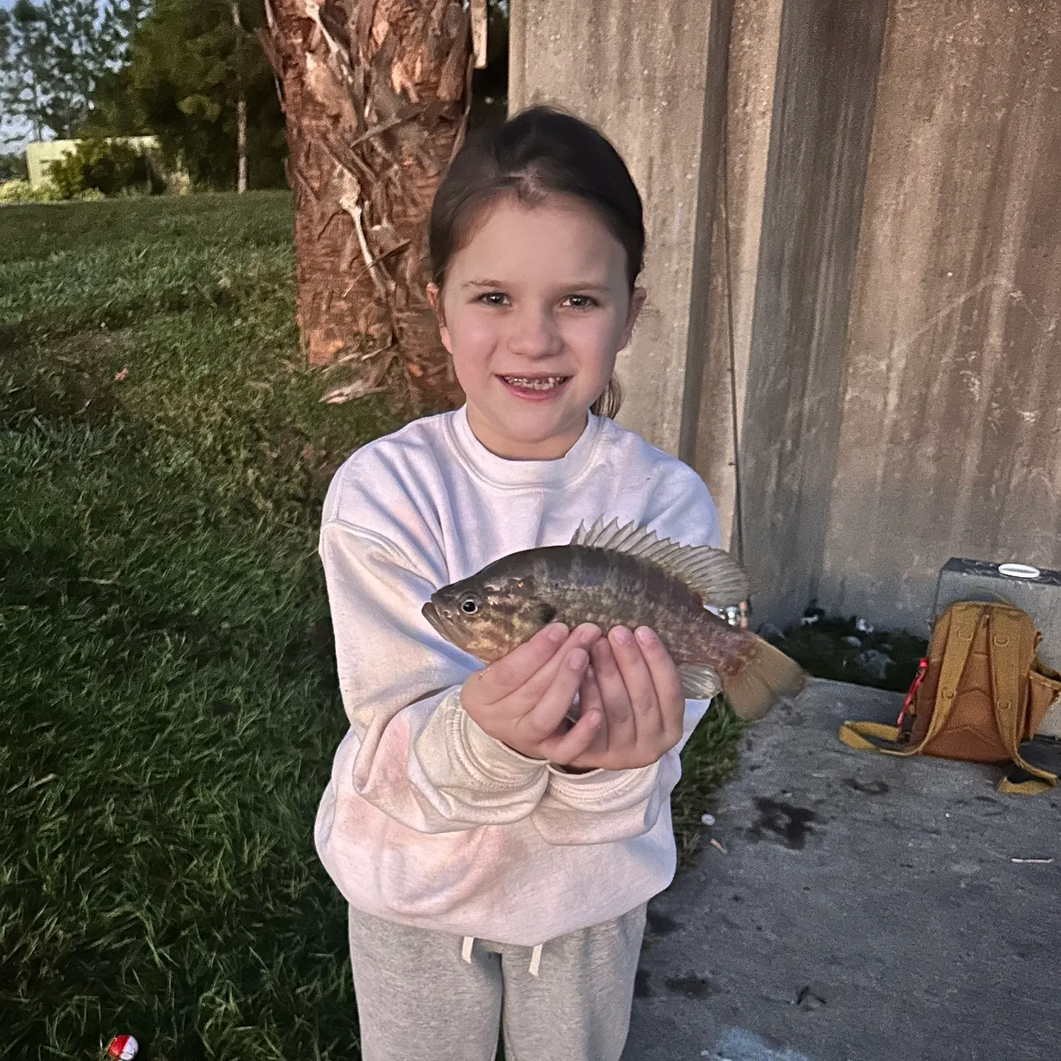 The most recent Warmouth catches on Fishbrain