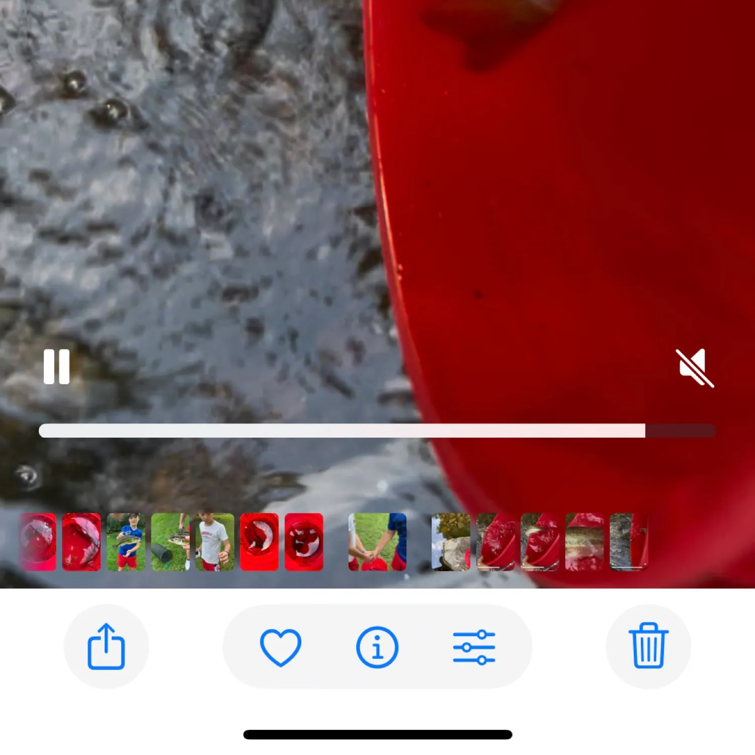 recently logged catches