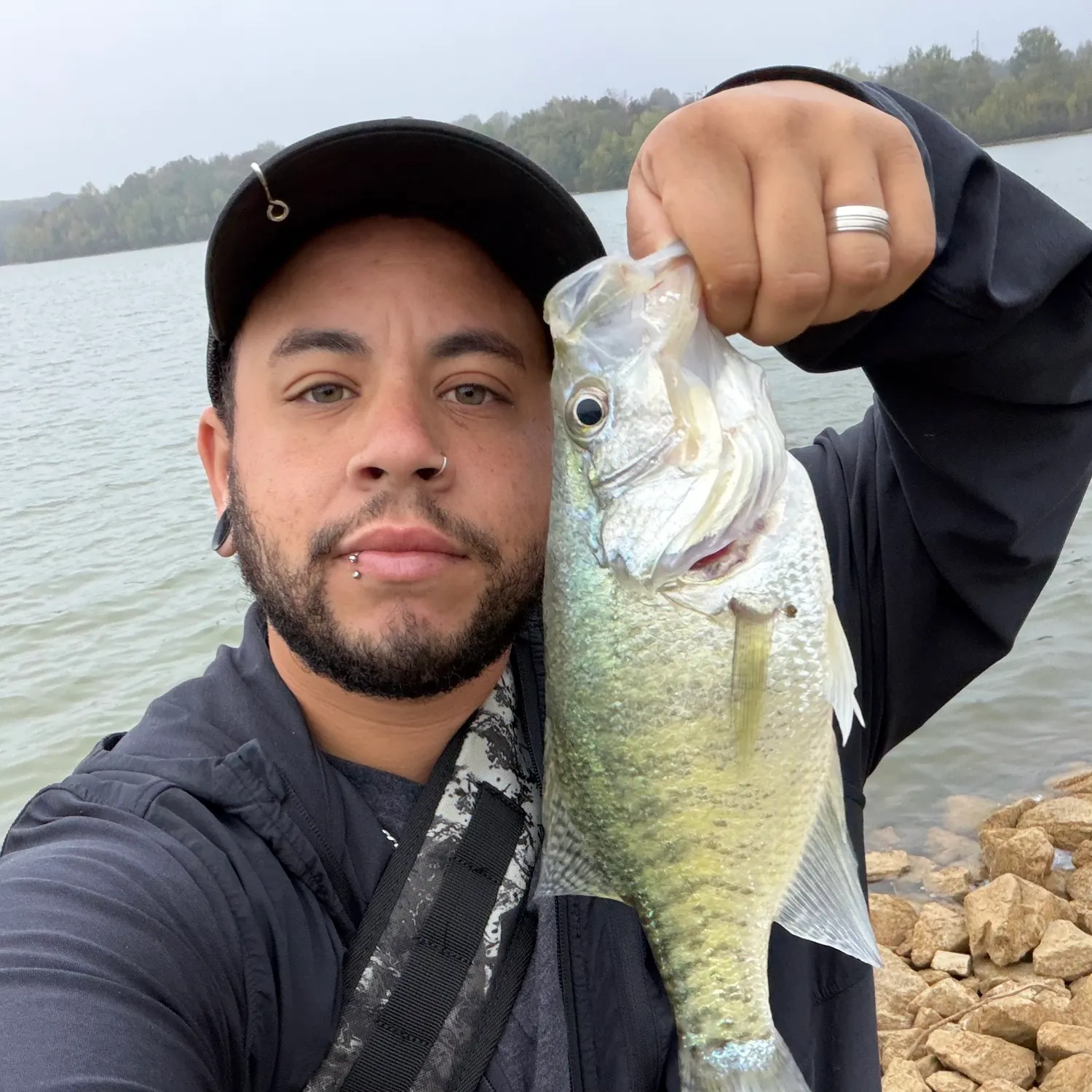 White crappie caught on Fishbrain
