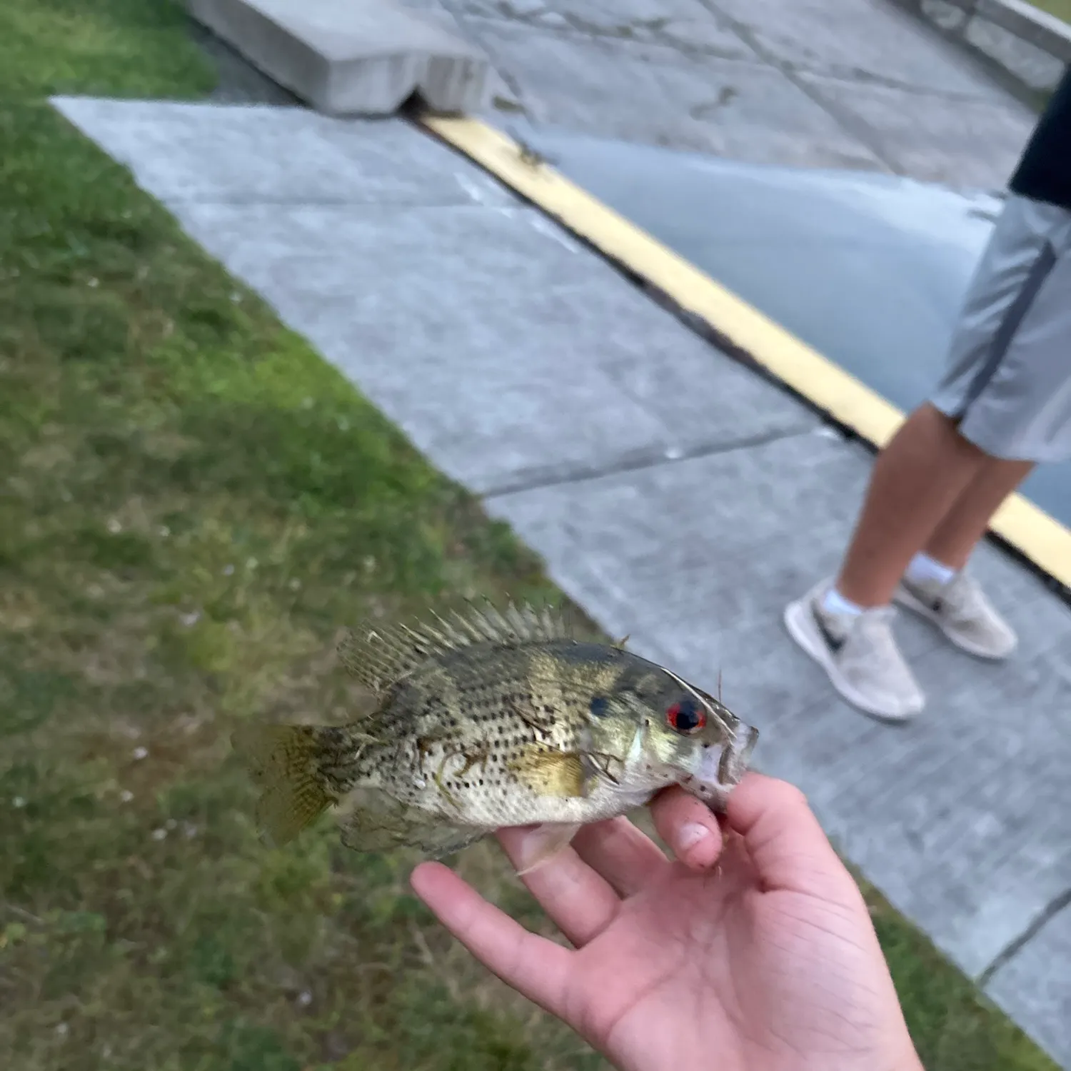 catch