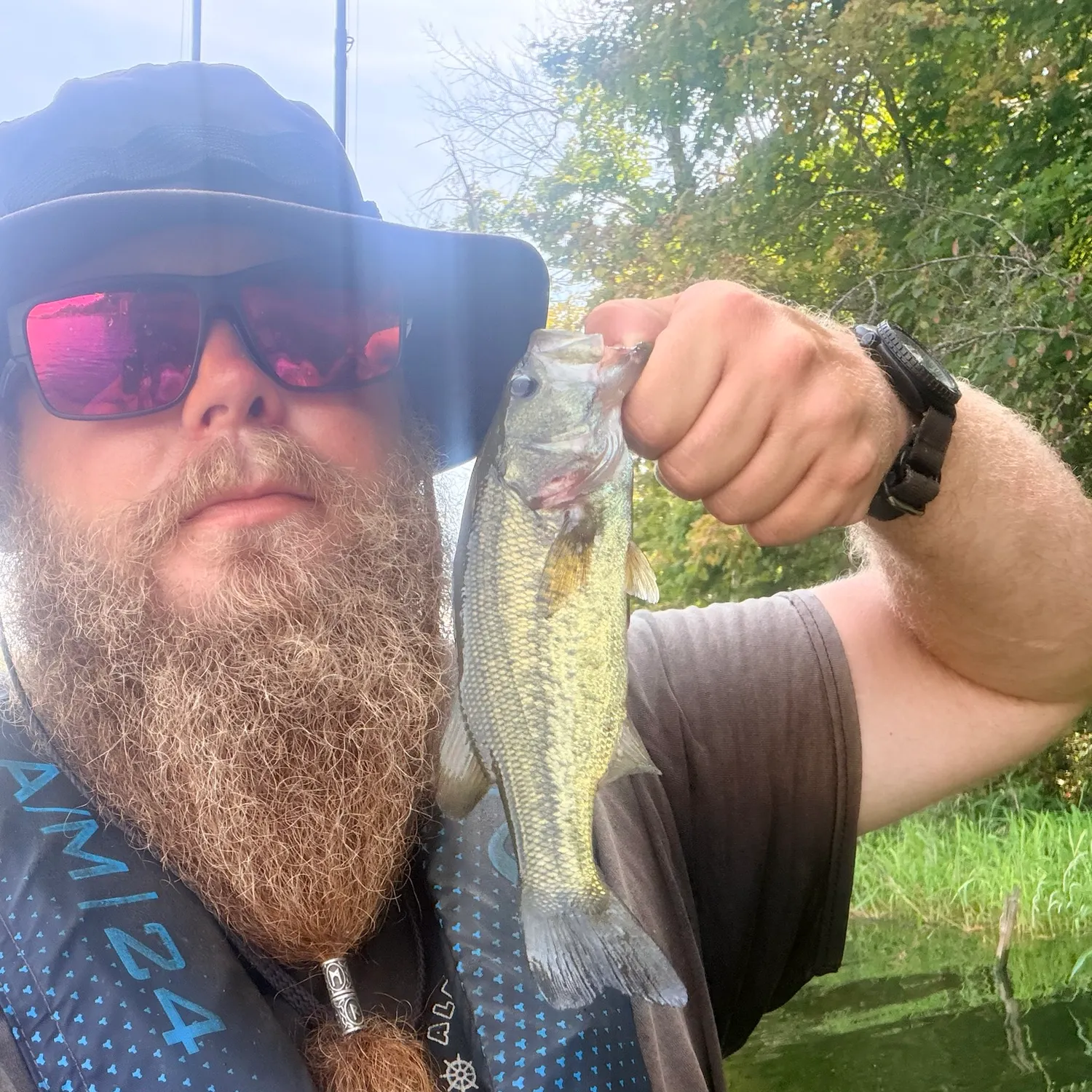 Largemouth bass caught on Fishbrain