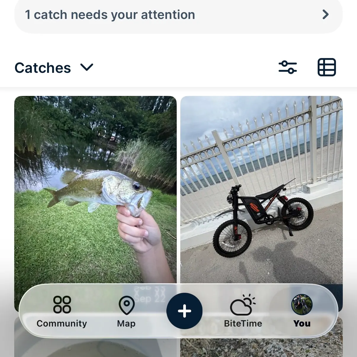 catch