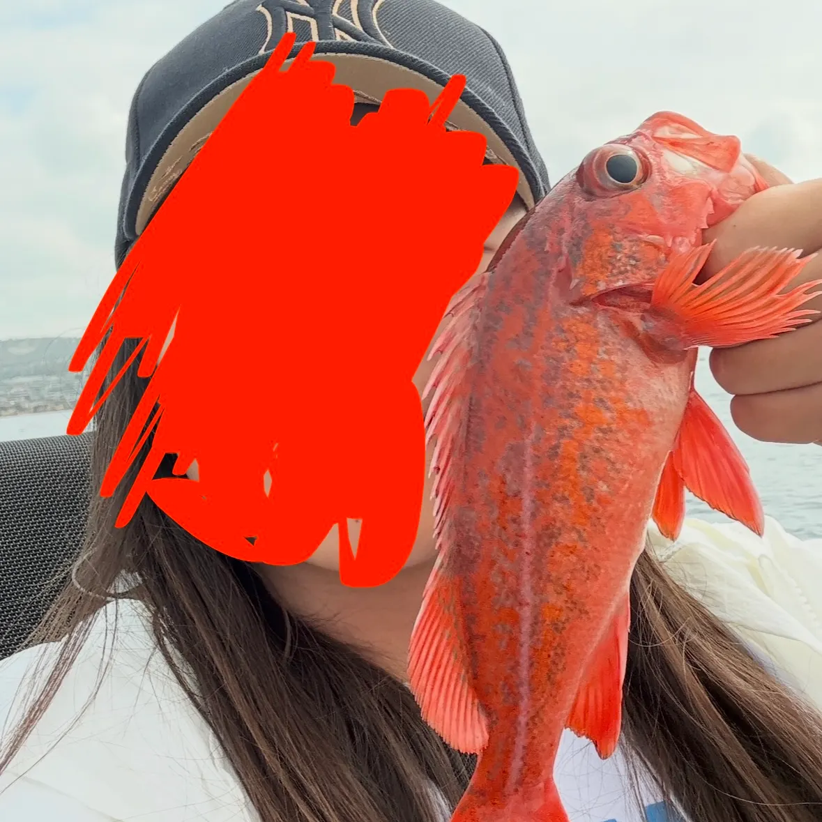 The most recent Vermilion rockfish catches on Fishbrain