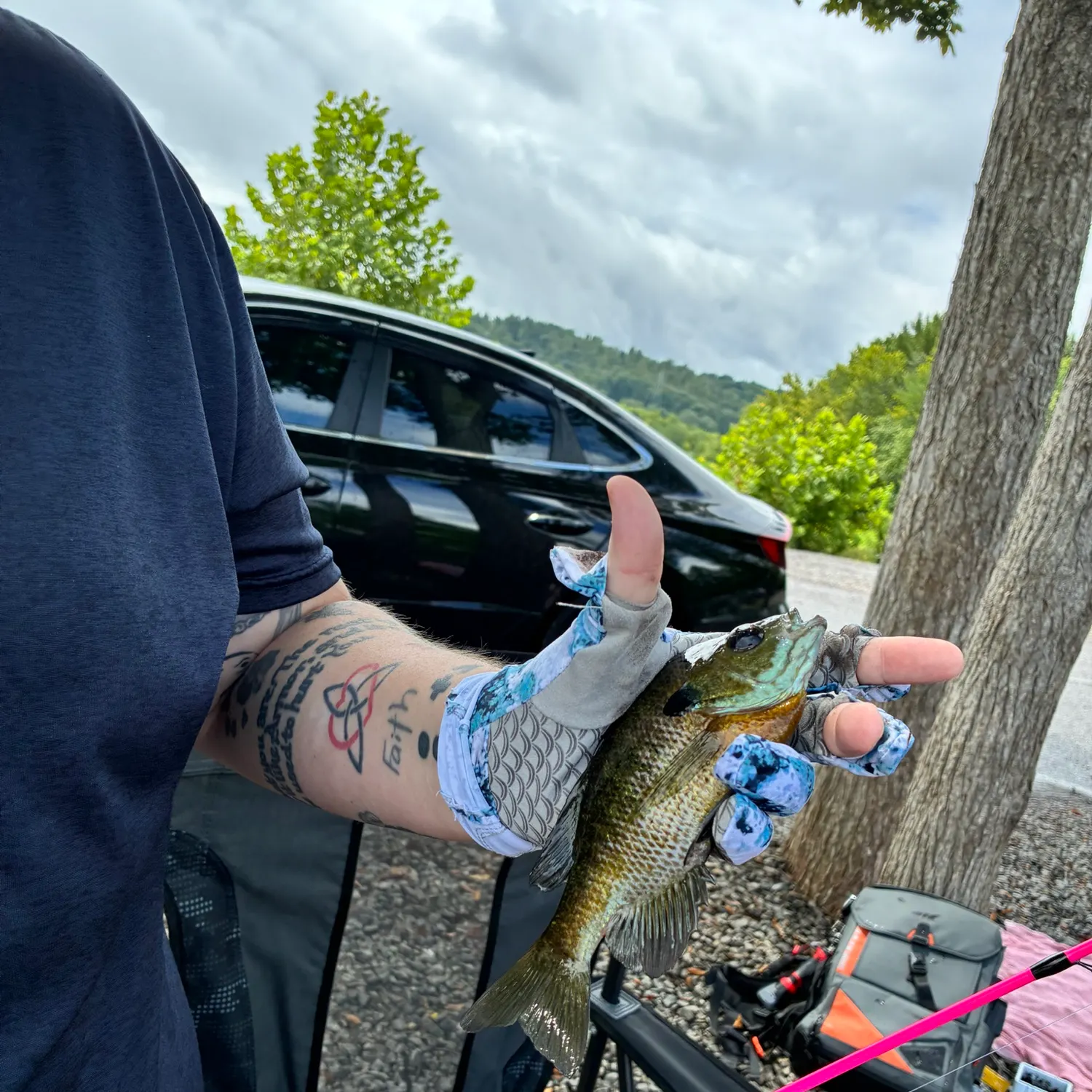 catch