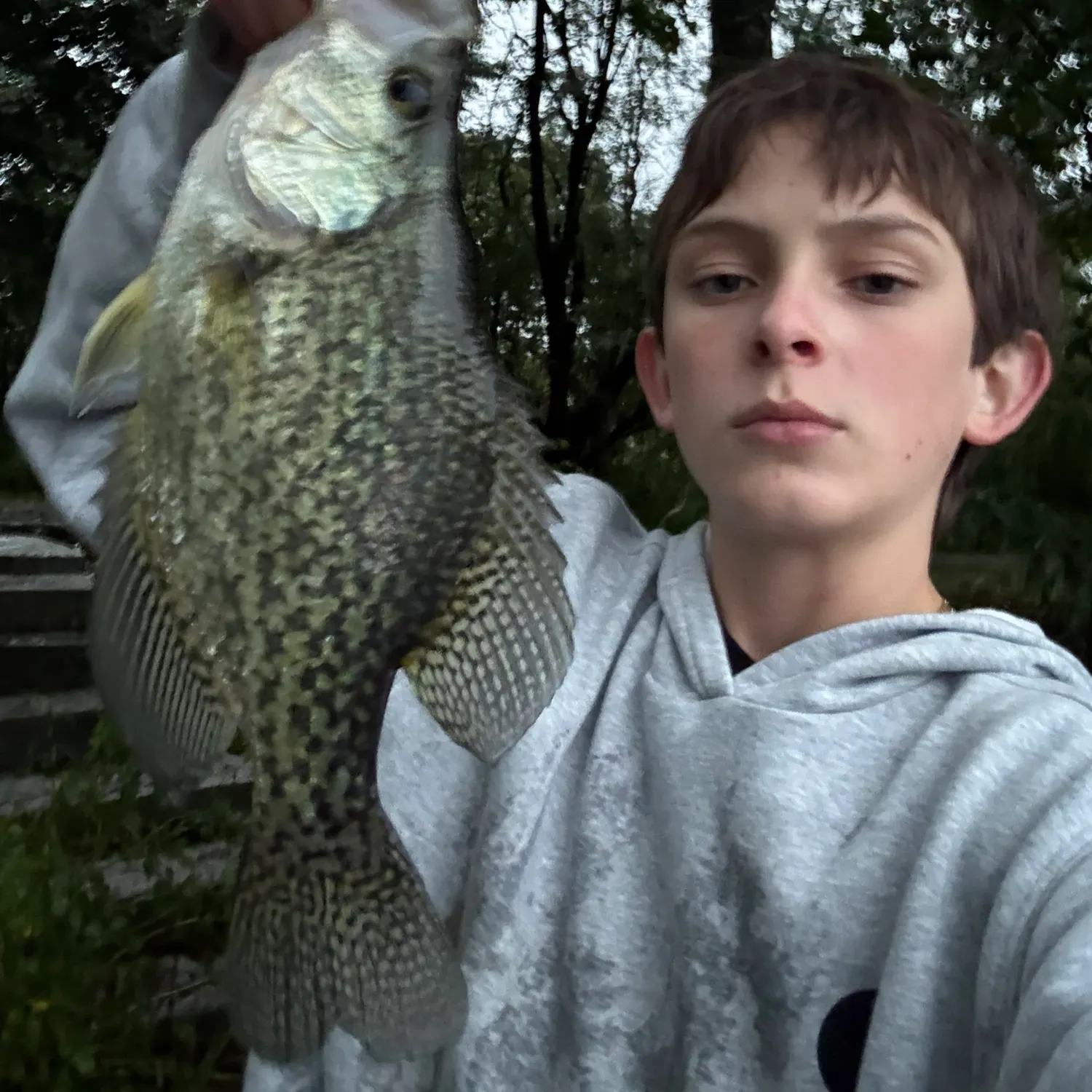 Black crappie caught on Fishbrain