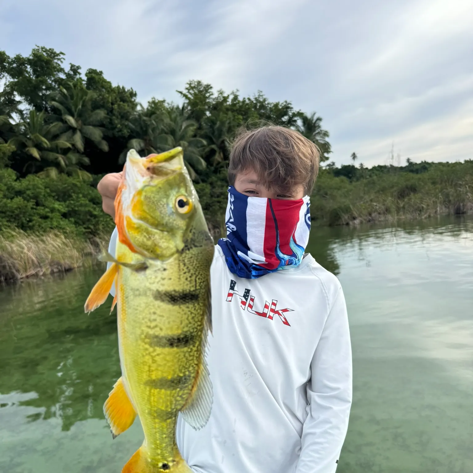 The most recent Butterfly peacock bass catches on Fishbrain
