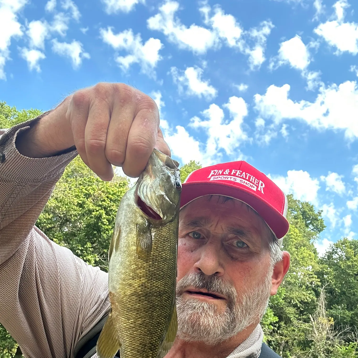 Smallmouth bass caught on Fishbrain