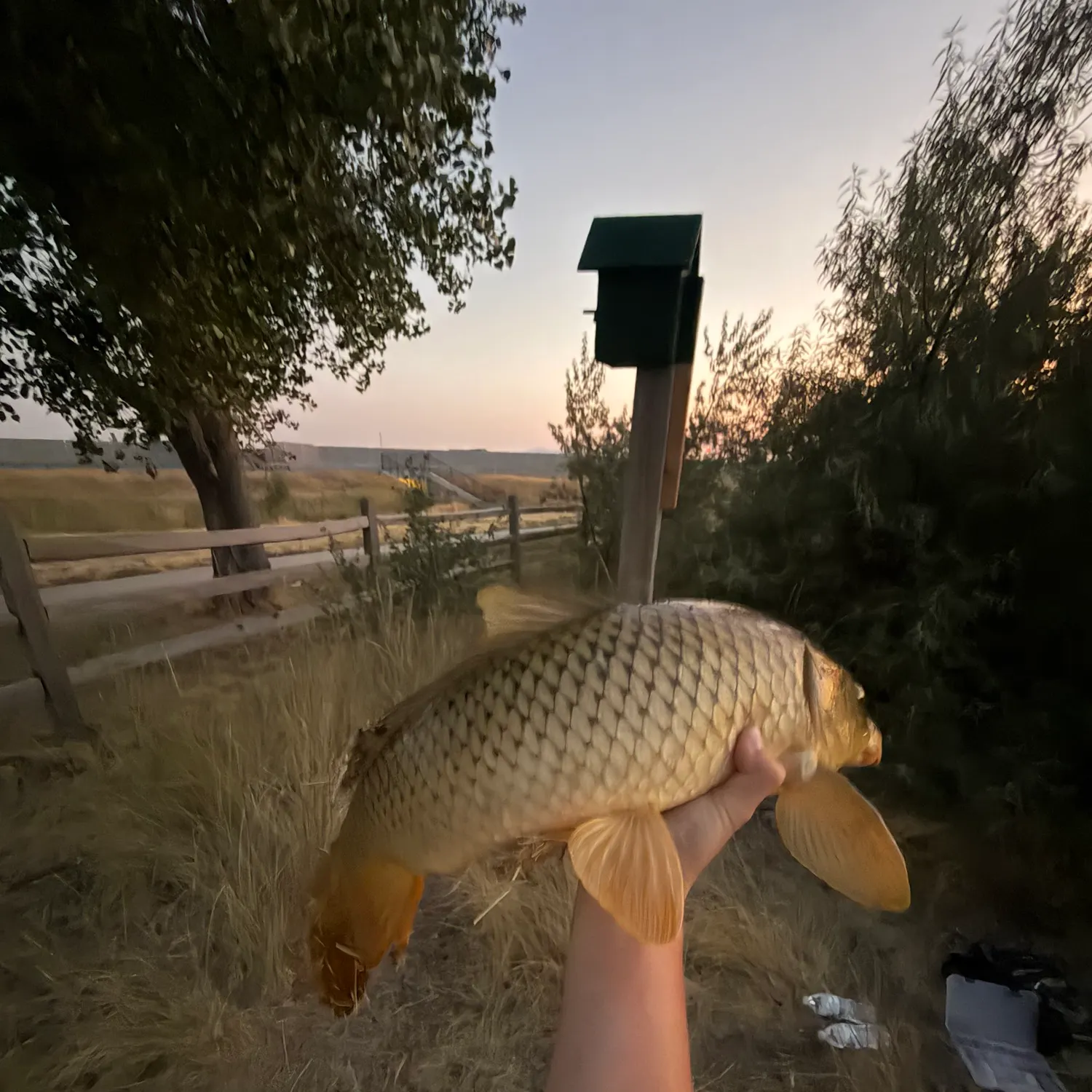 catch