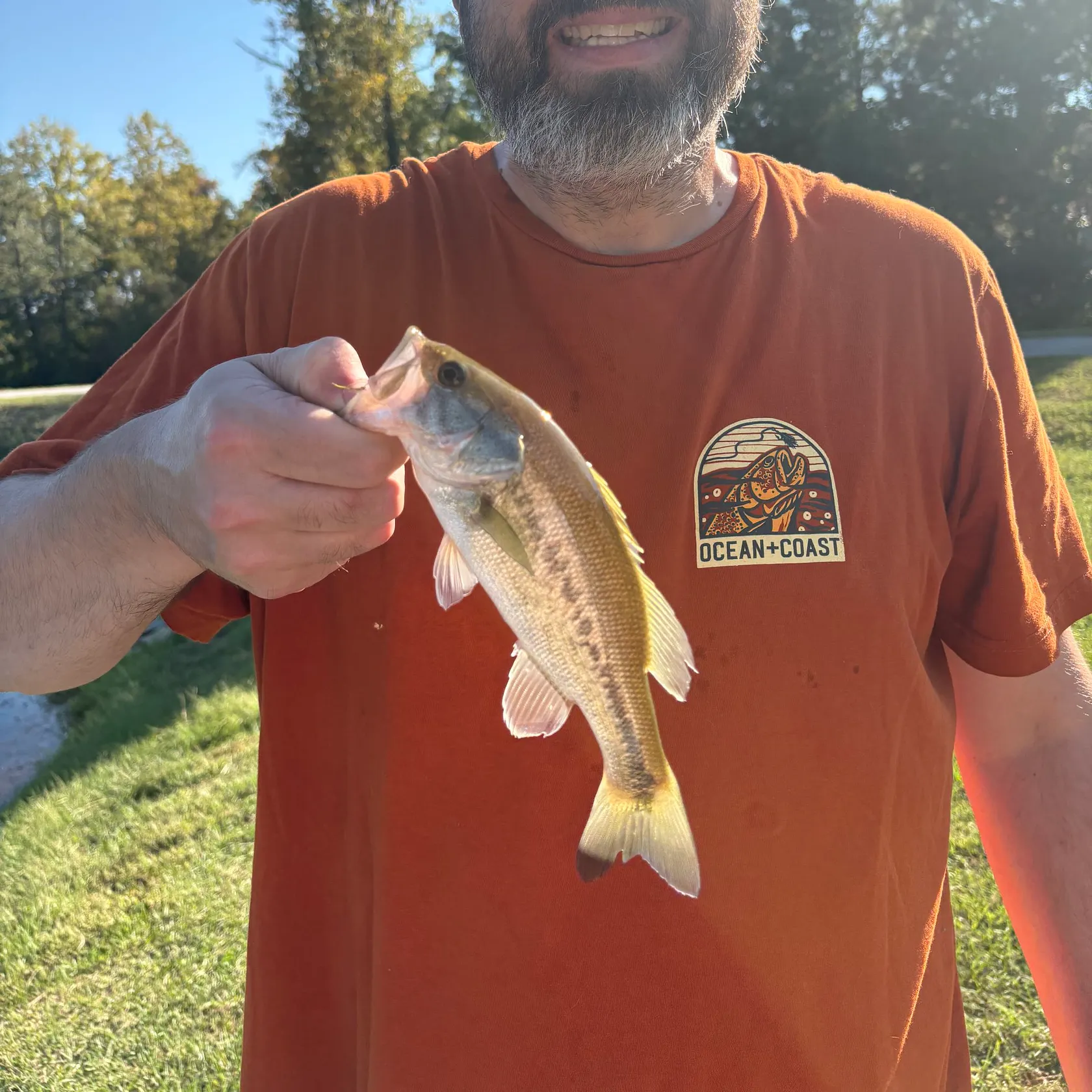 Largemouth bass caught on Fishbrain
