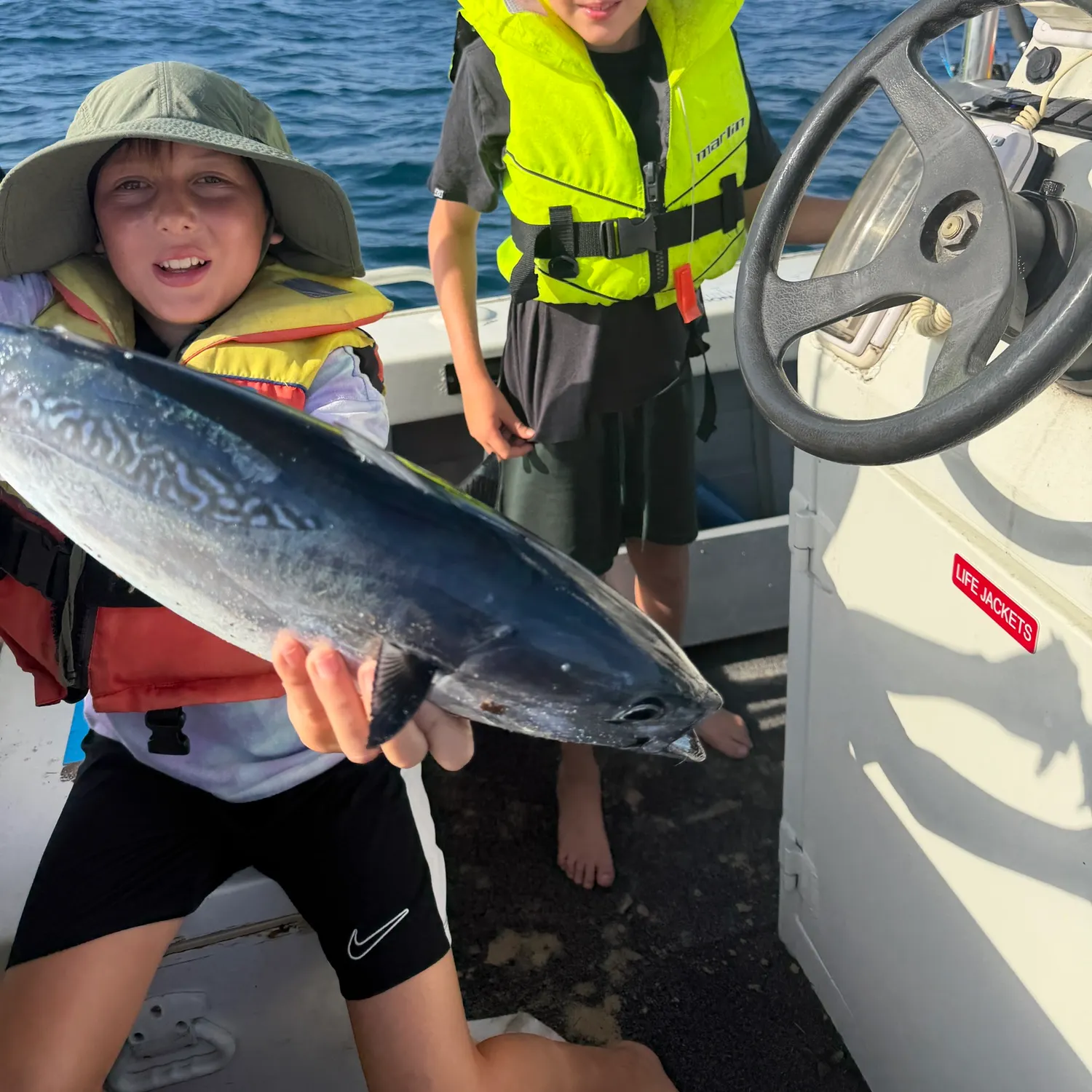 The most recent Kawakawa catches on Fishbrain