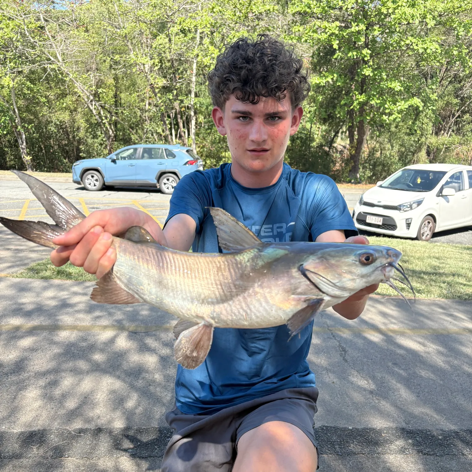 The most recent Blue salmon catfish catches on Fishbrain