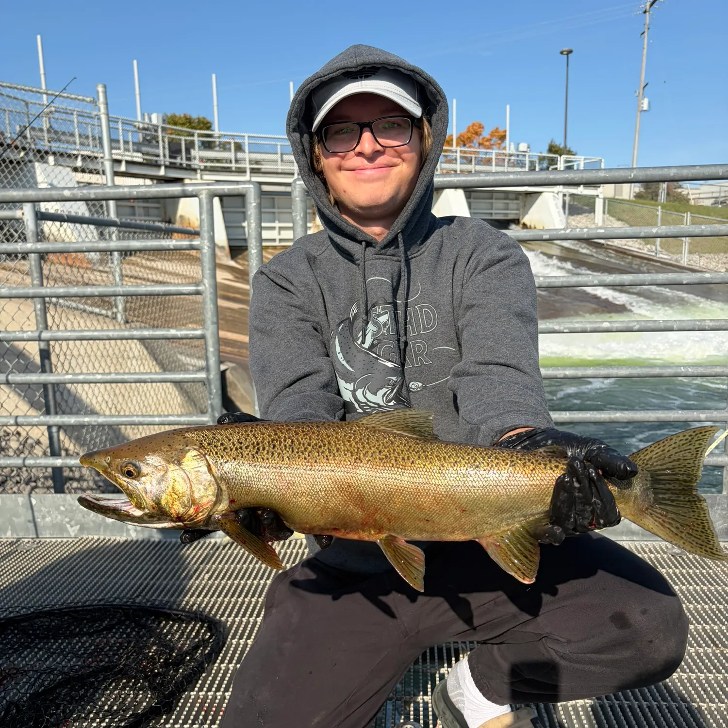 Coho salmon caught on Fishbrain