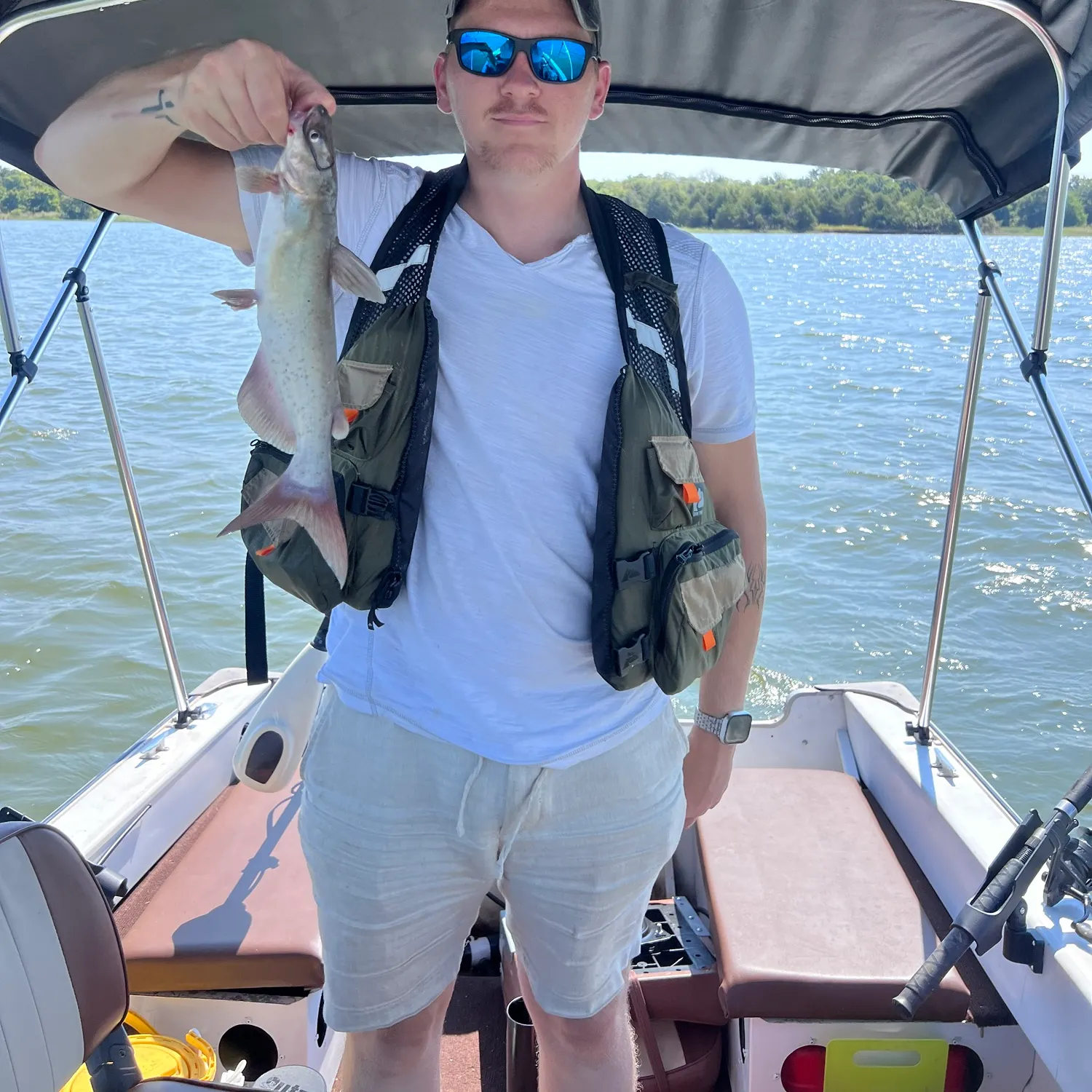 Channel catfish caught on Fishbrain