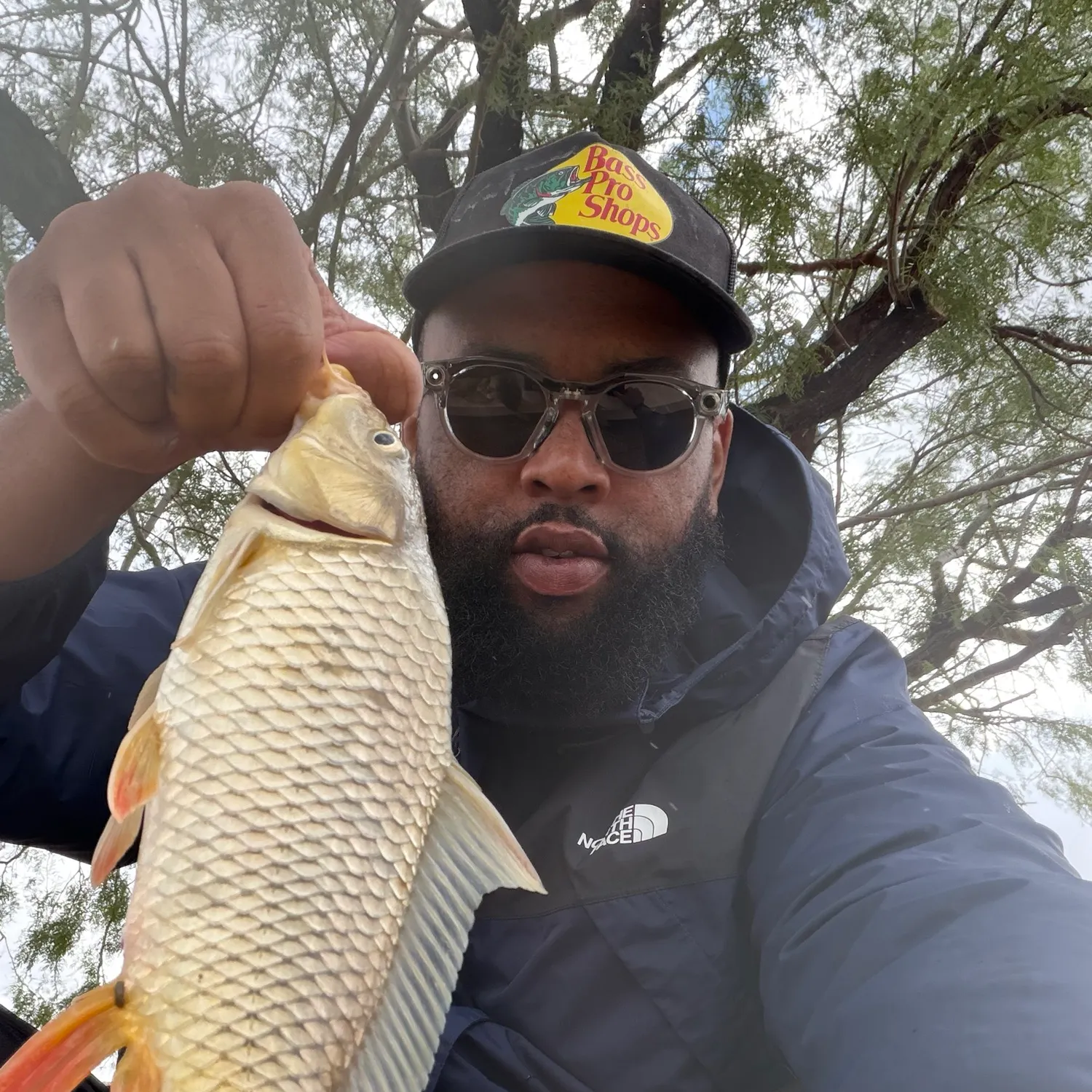 Common carp caught on Fishbrain