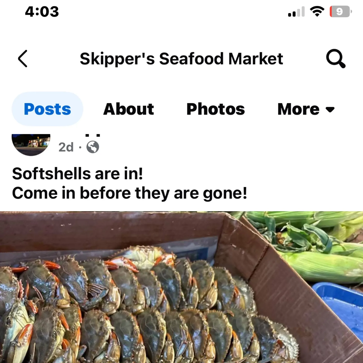 recently logged catches