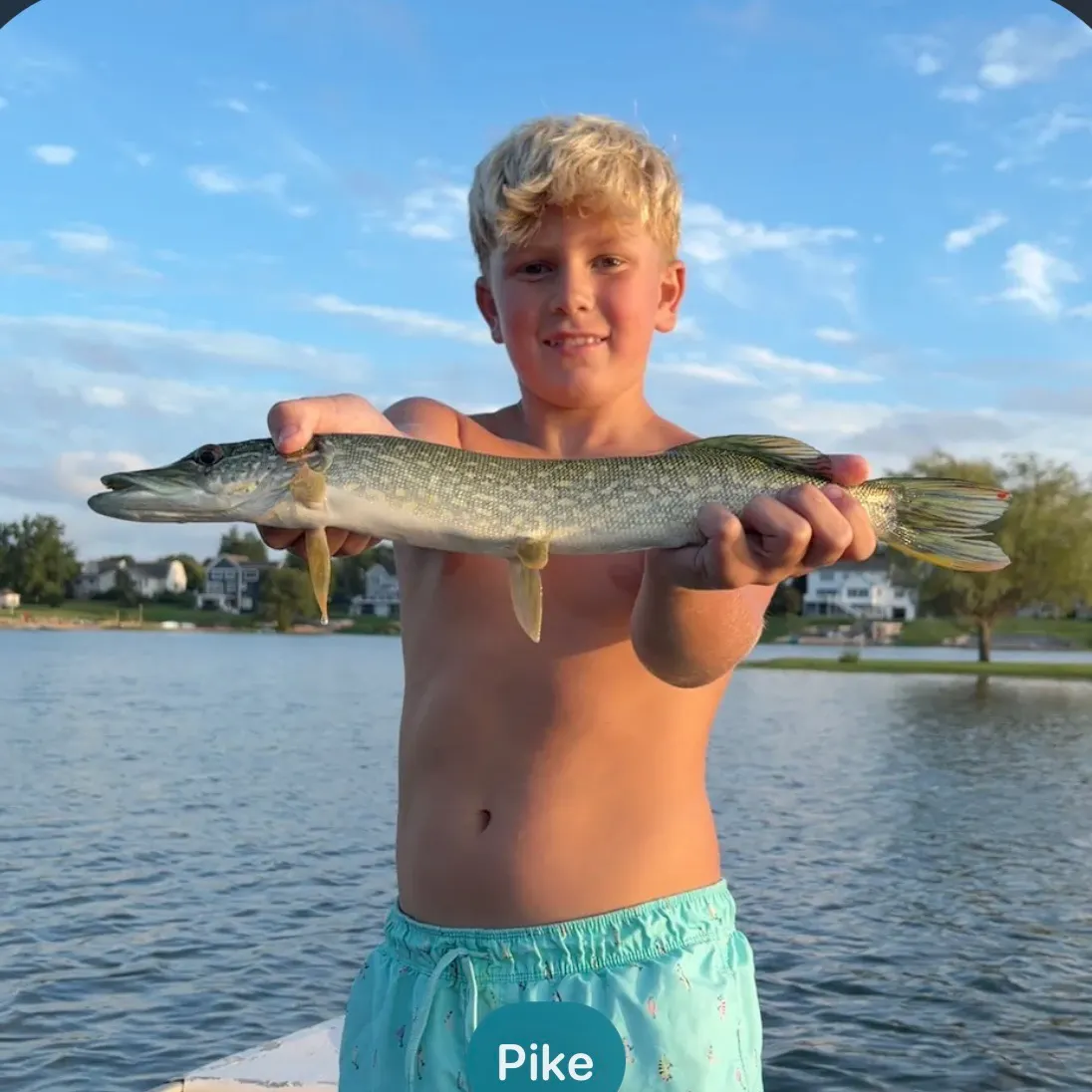 Northern pike caught on Fishbrain