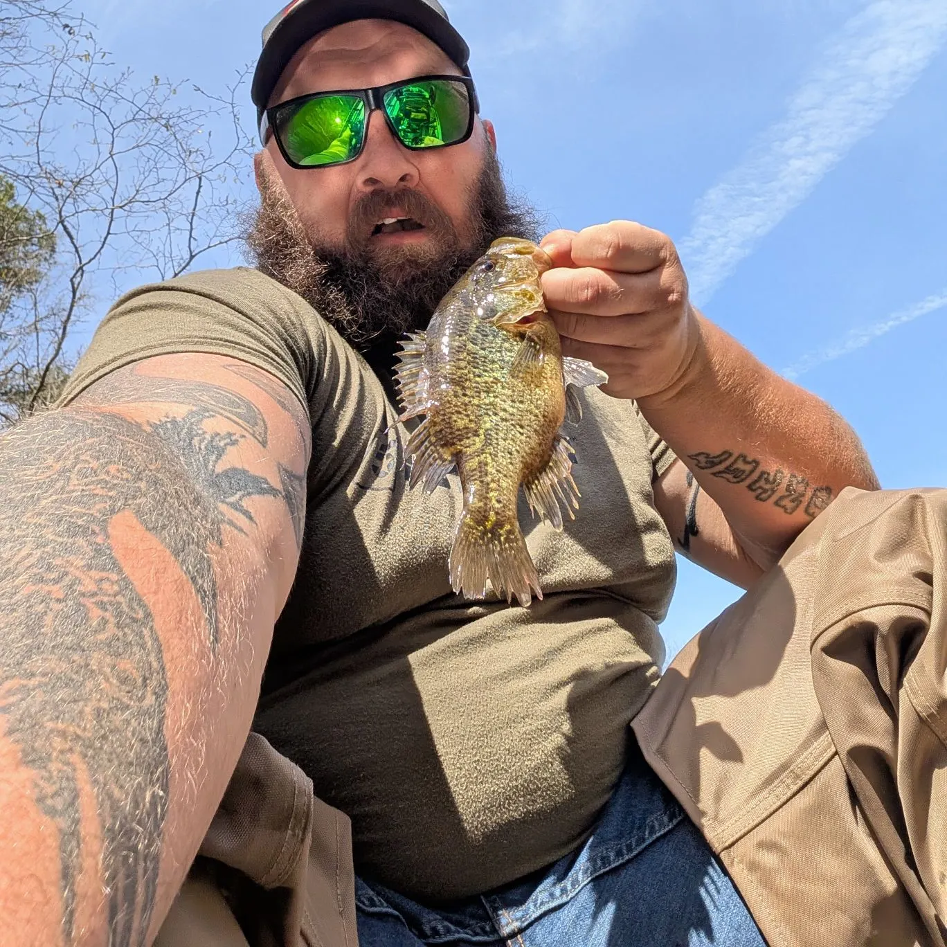 recently logged catches