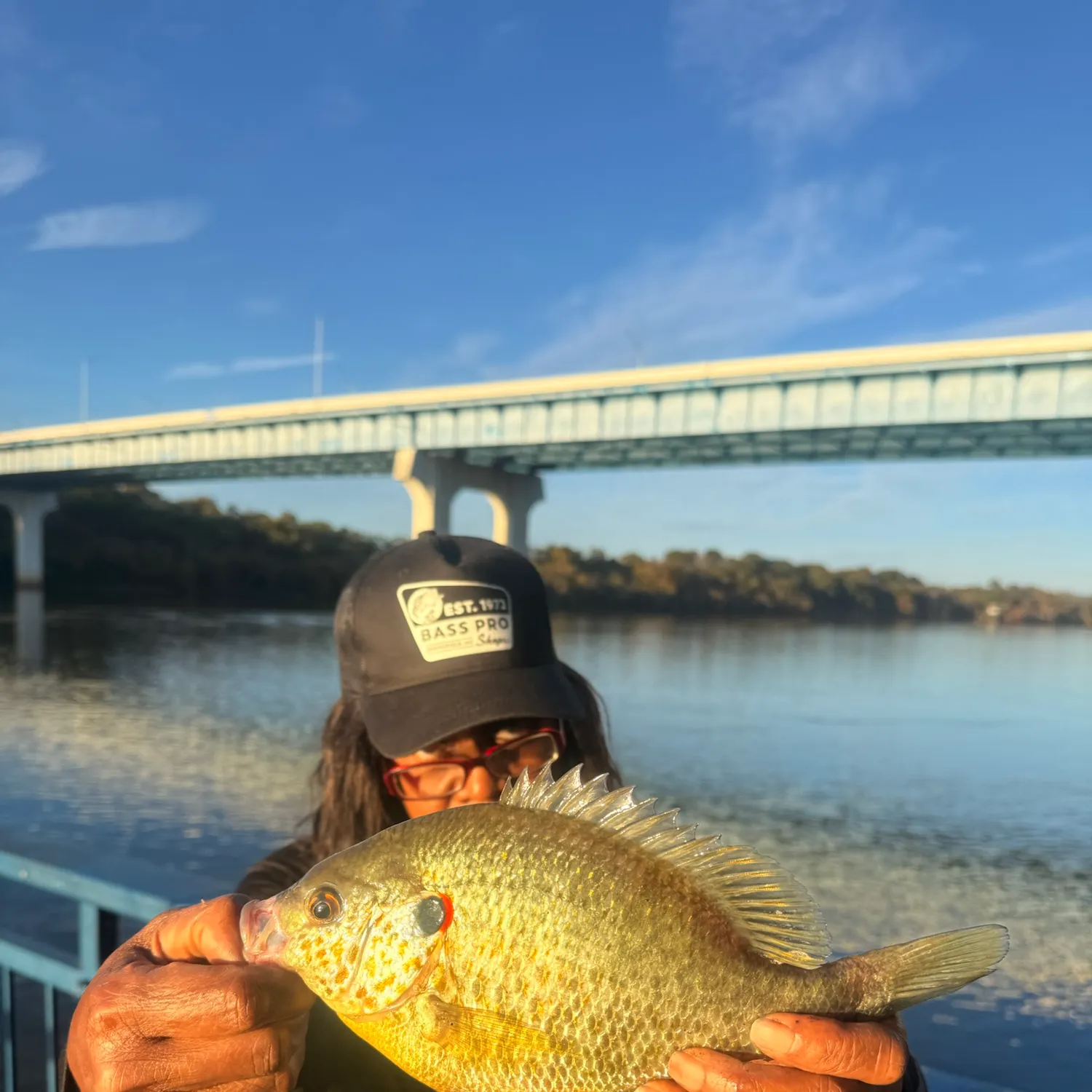 Redear sunfish caught on Fishbrain