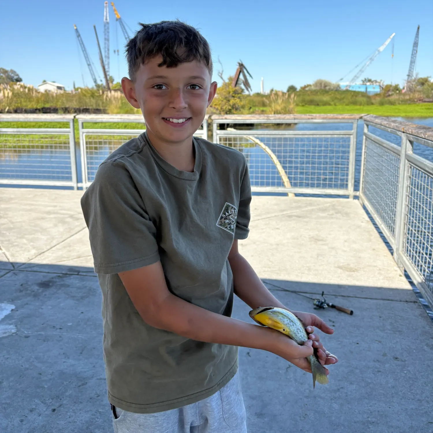 Redear sunfish caught on Fishbrain