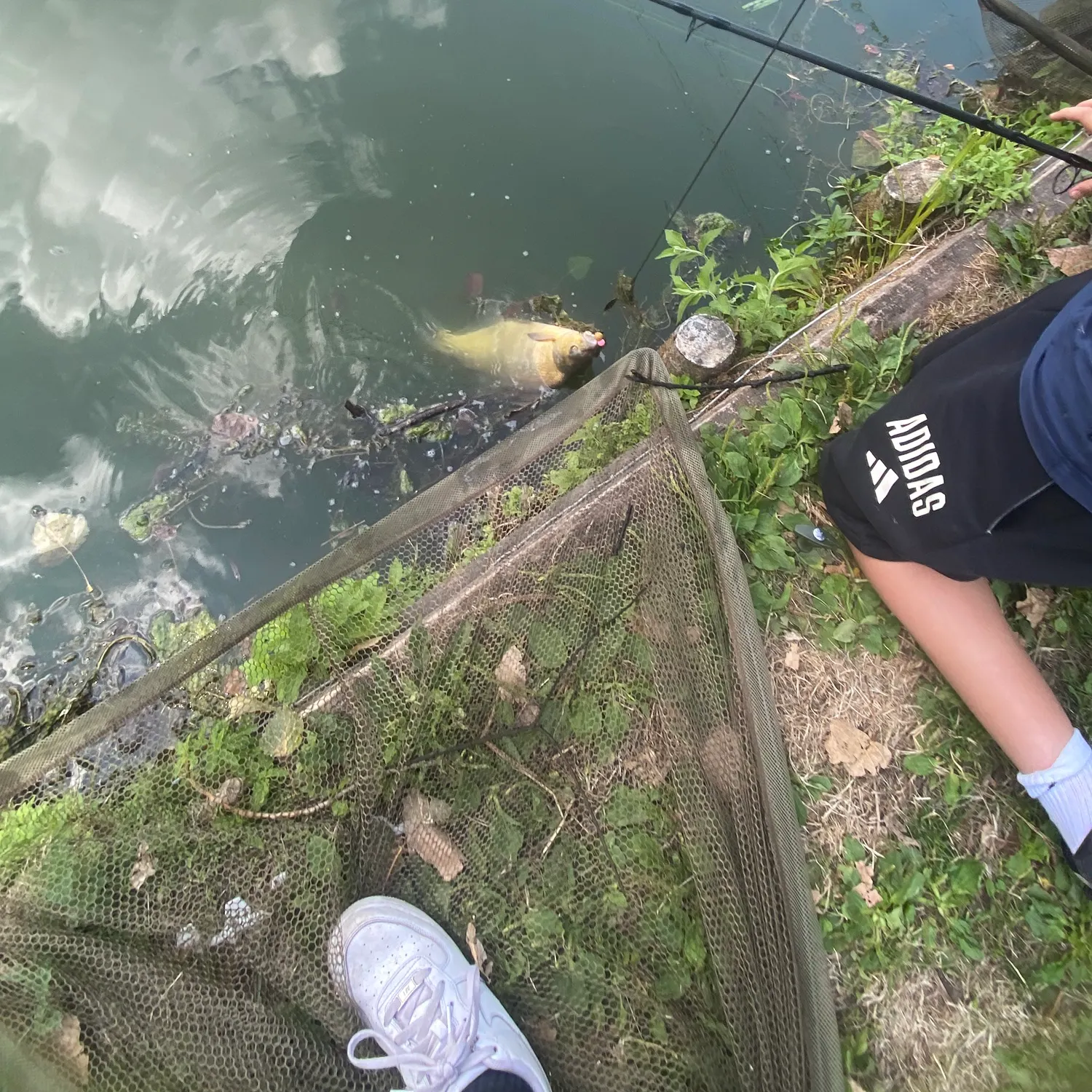 Fish caught on Fishbrain