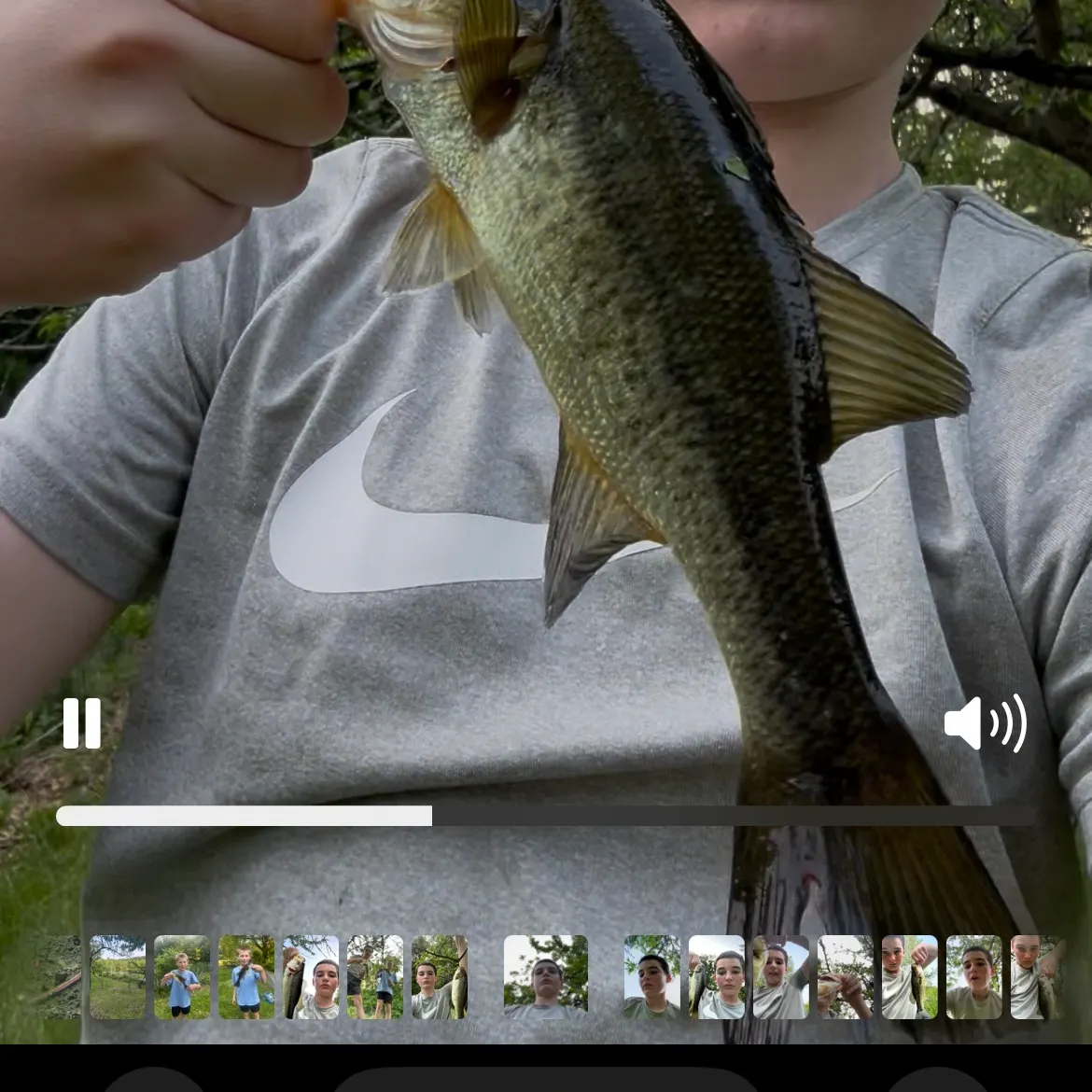 recently logged catches