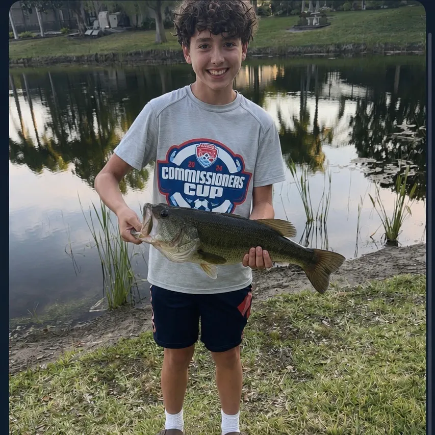Largemouth bass caught on Fishbrain