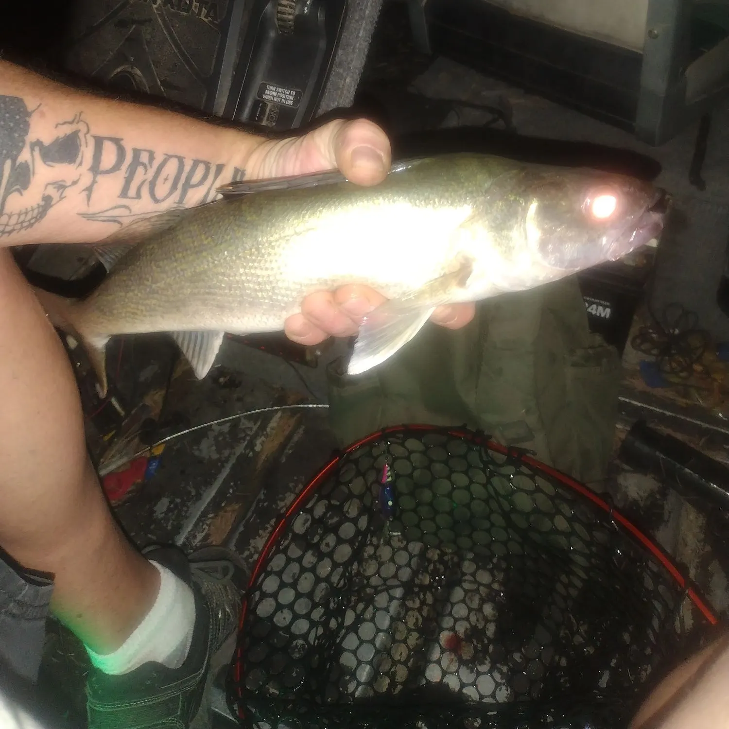 catch
