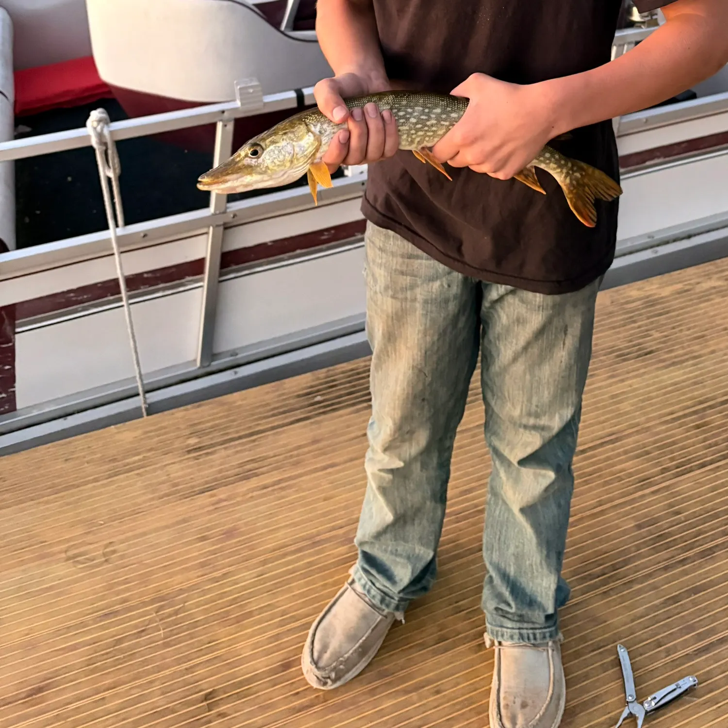 Fish caught on Fishbrain