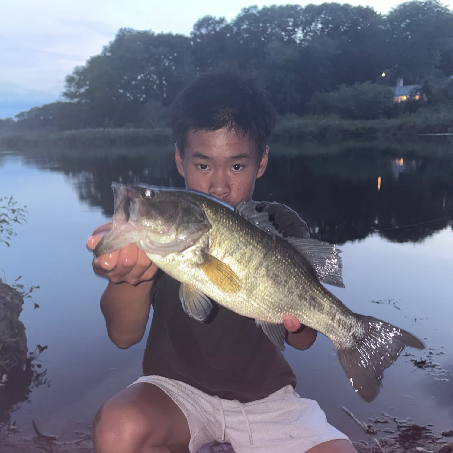 Largemouth bass caught on Fishbrain