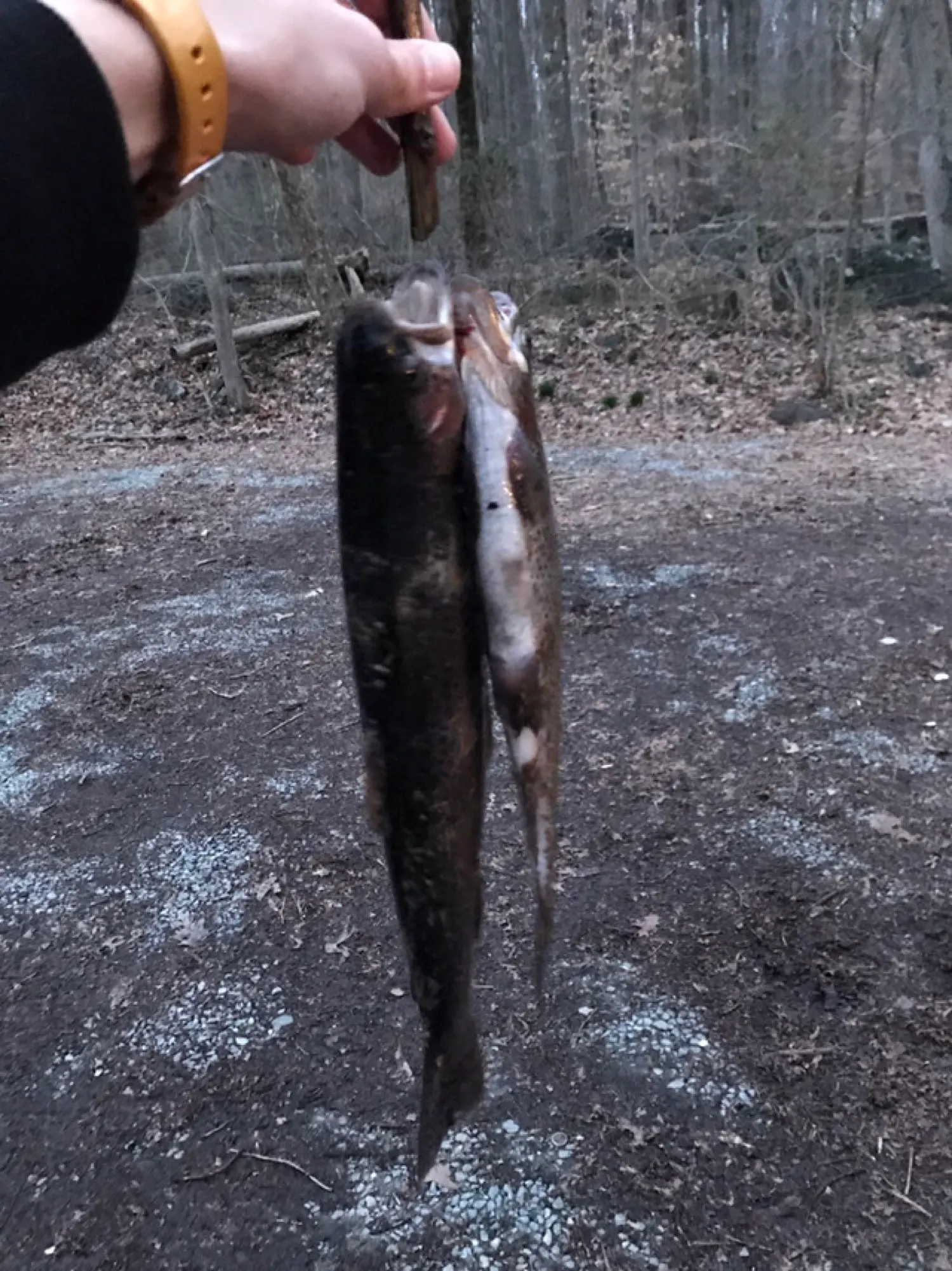 Post image from matt.andrews