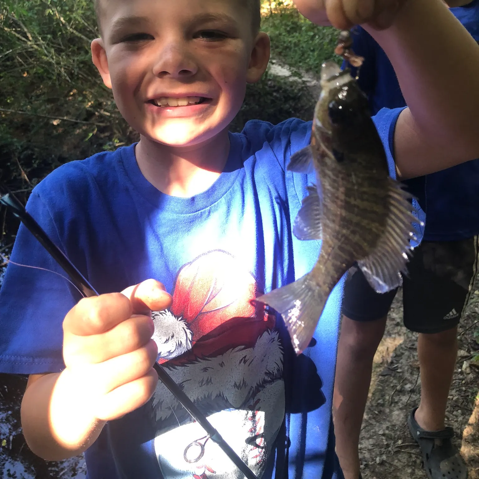 The most recent Warmouth catches on Fishbrain