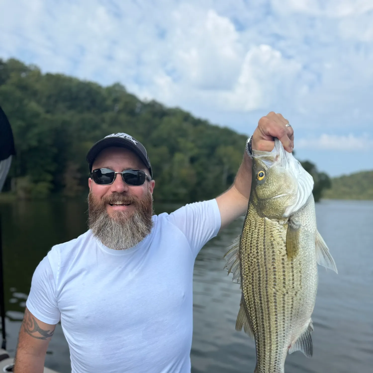 Wiper caught on Fishbrain
