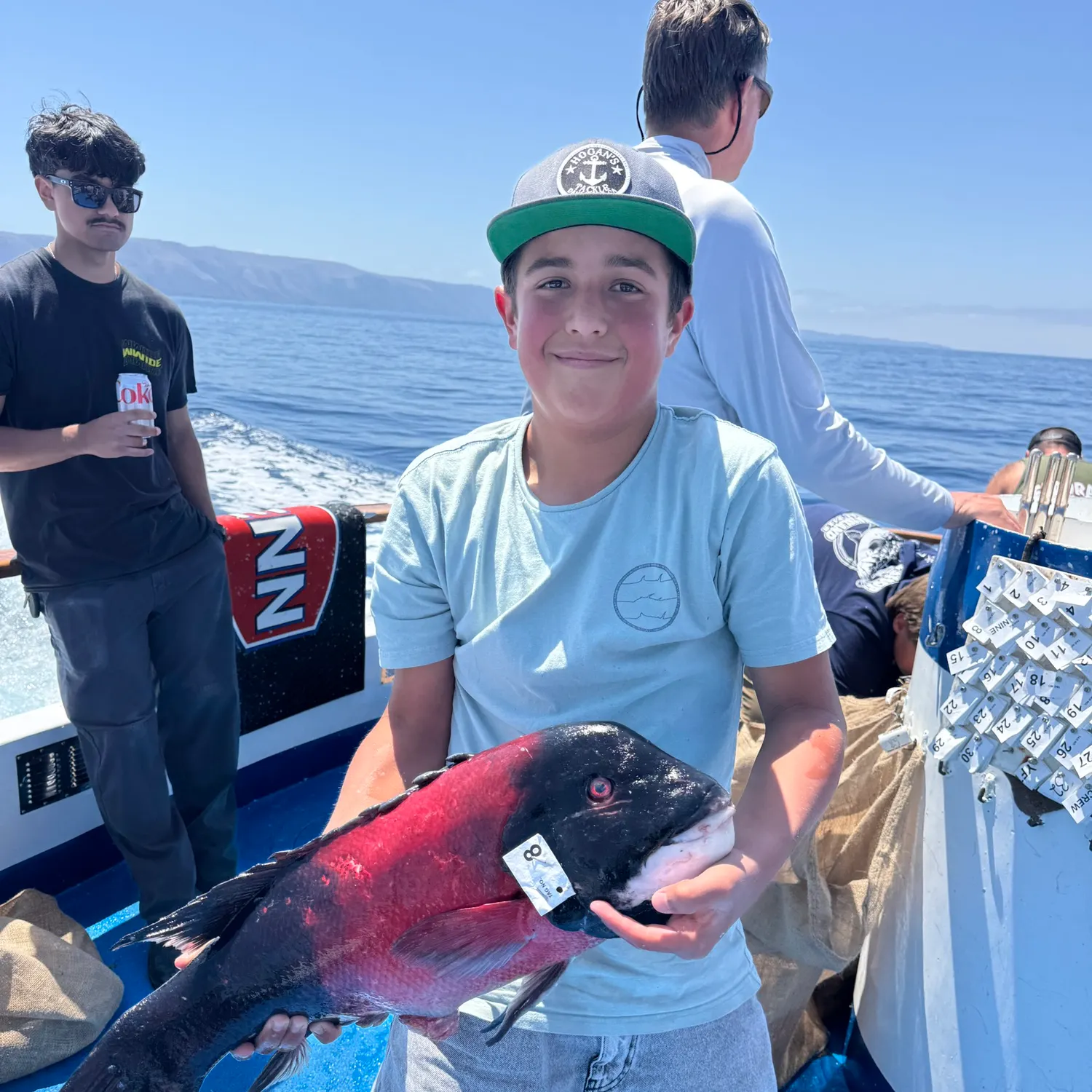The most recent California sheephead catches on Fishbrain