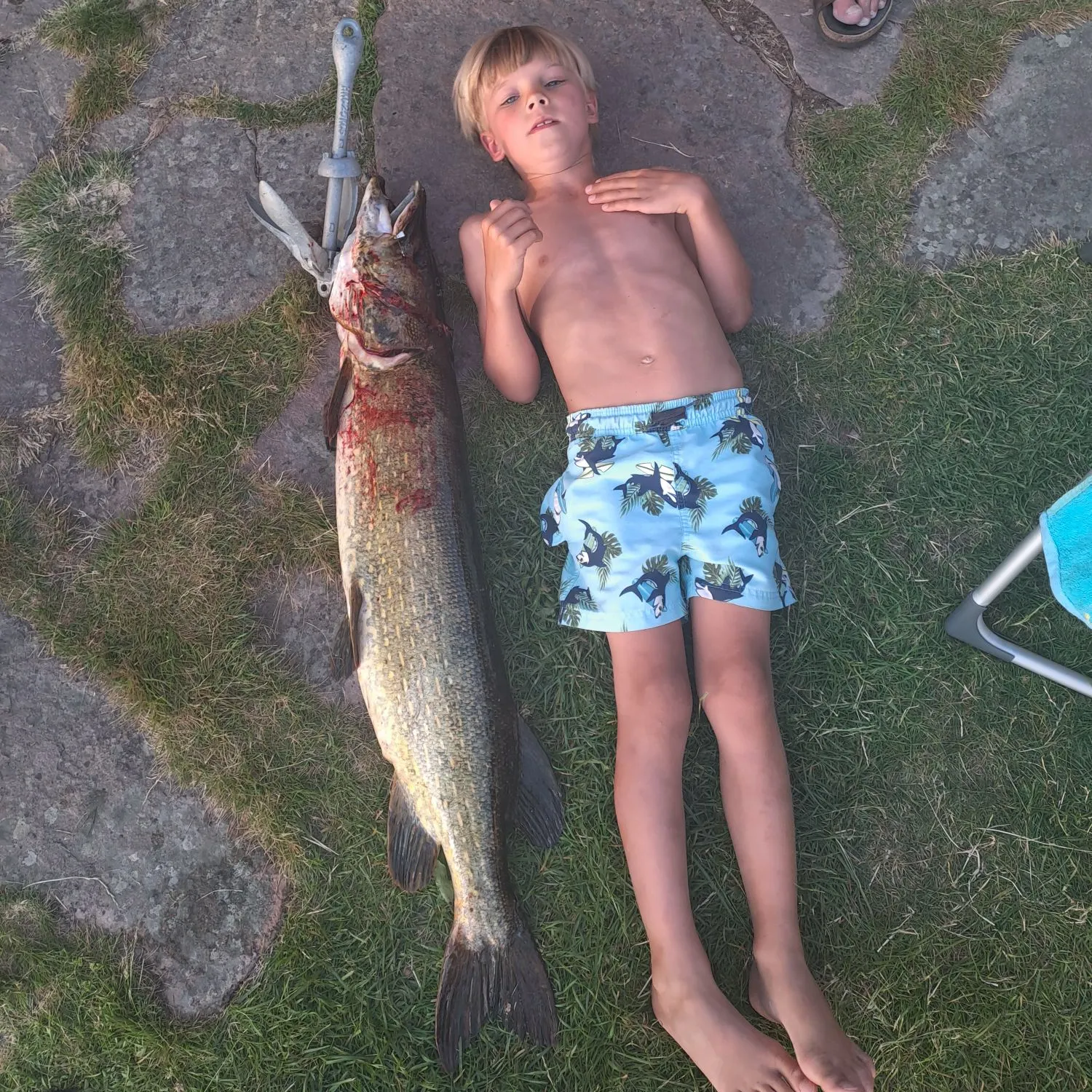 Northern pike caught on Fishbrain