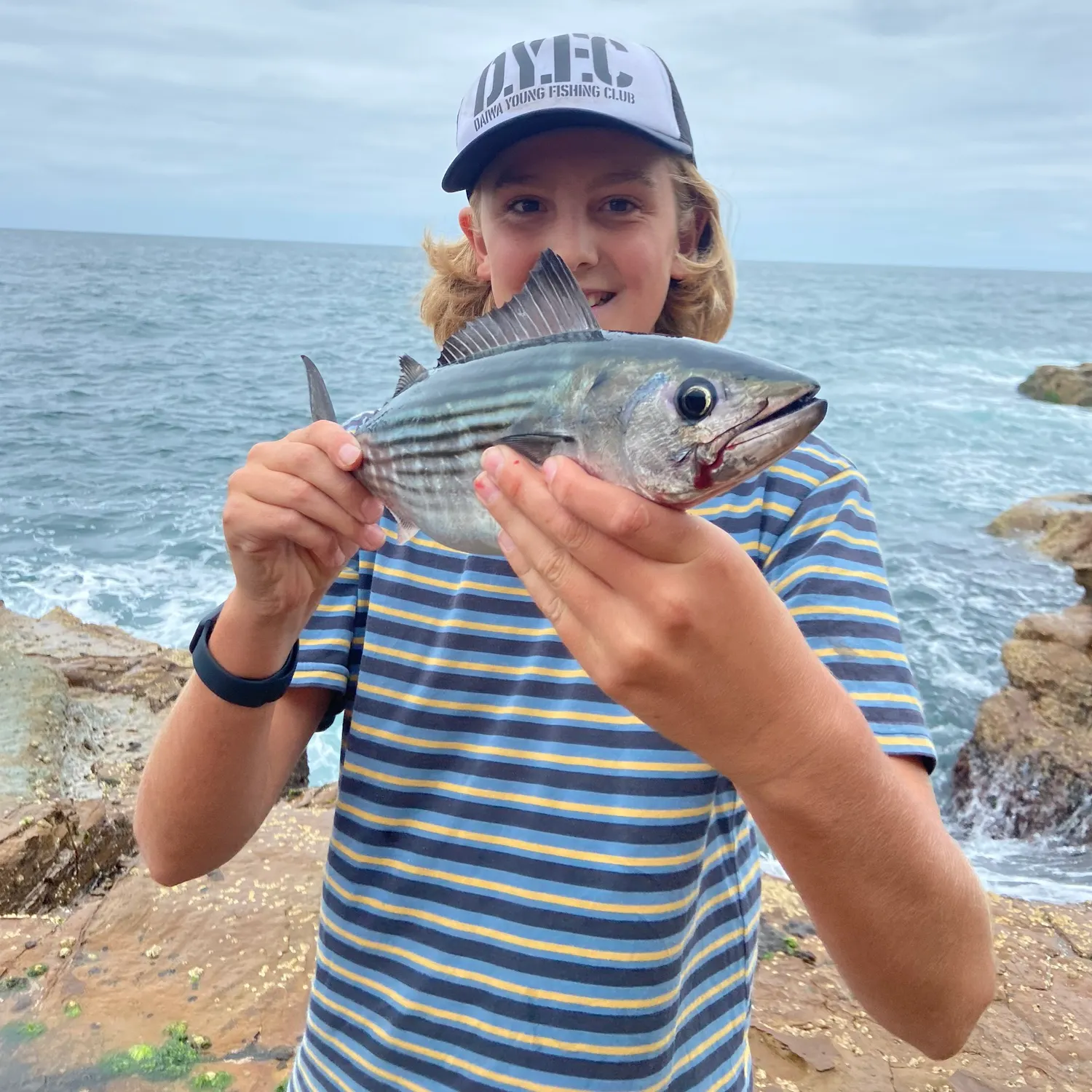 The most recent Striped bonito catches on Fishbrain
