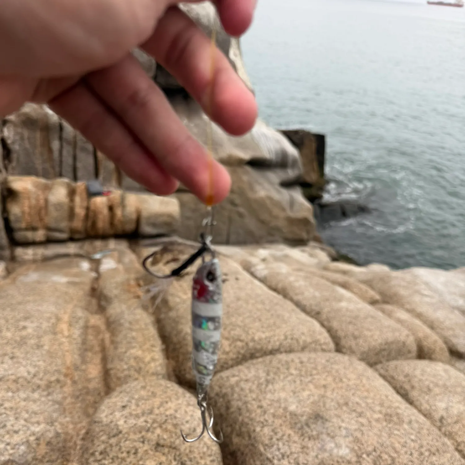 Fish caught on Fishbrain