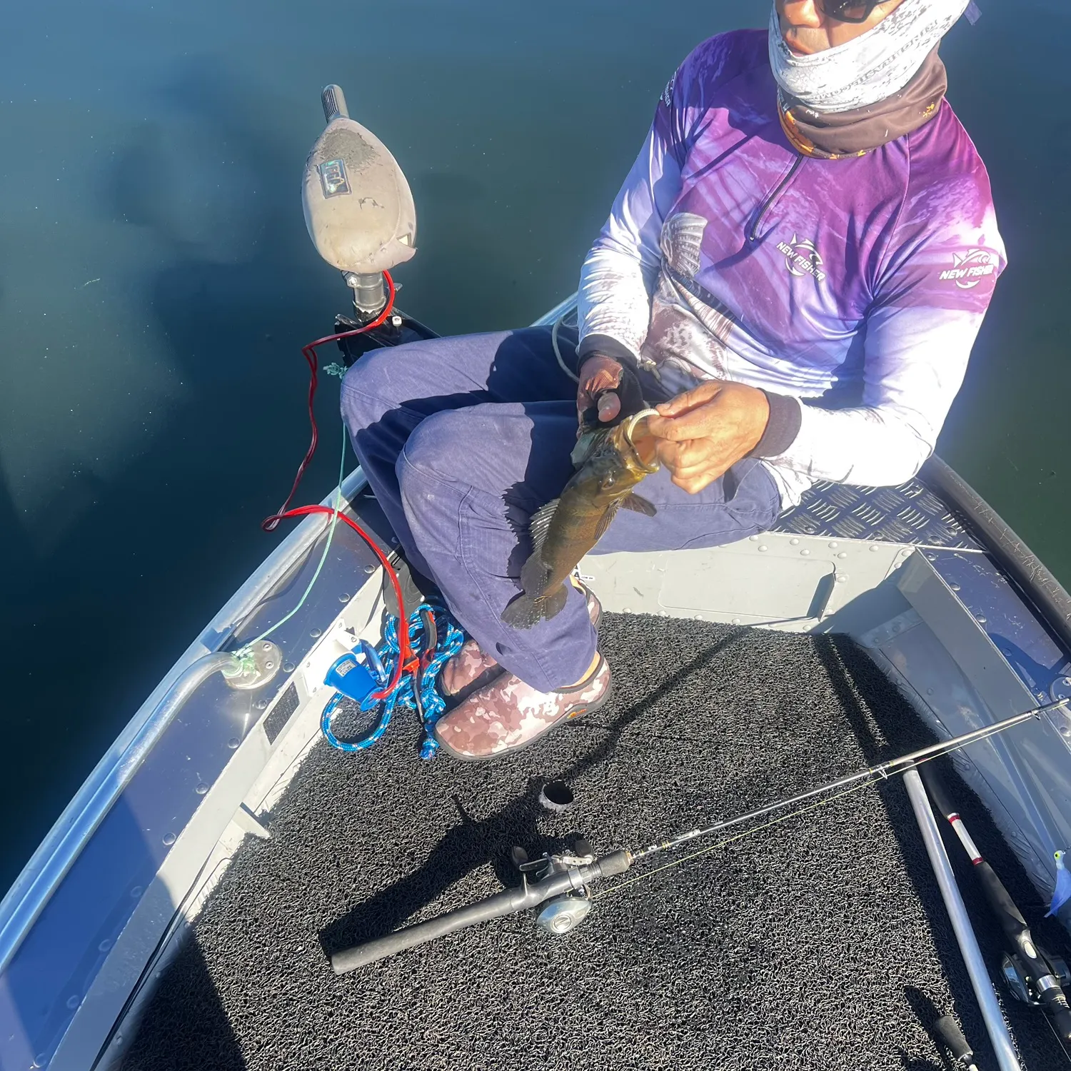 The most recent Kelberi peacock bass catches on Fishbrain