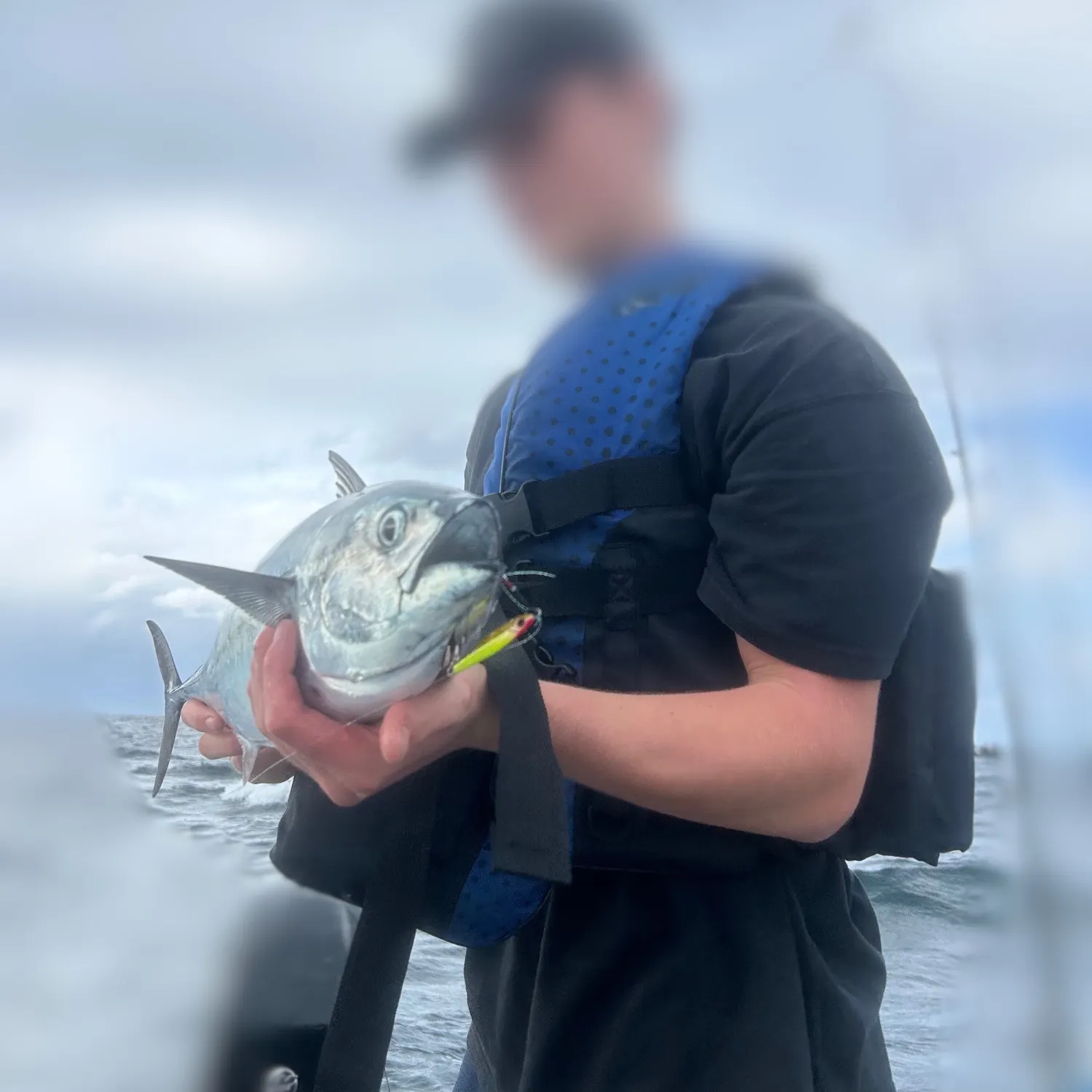 The most popular recent Kawakawa catch on Fishbrain