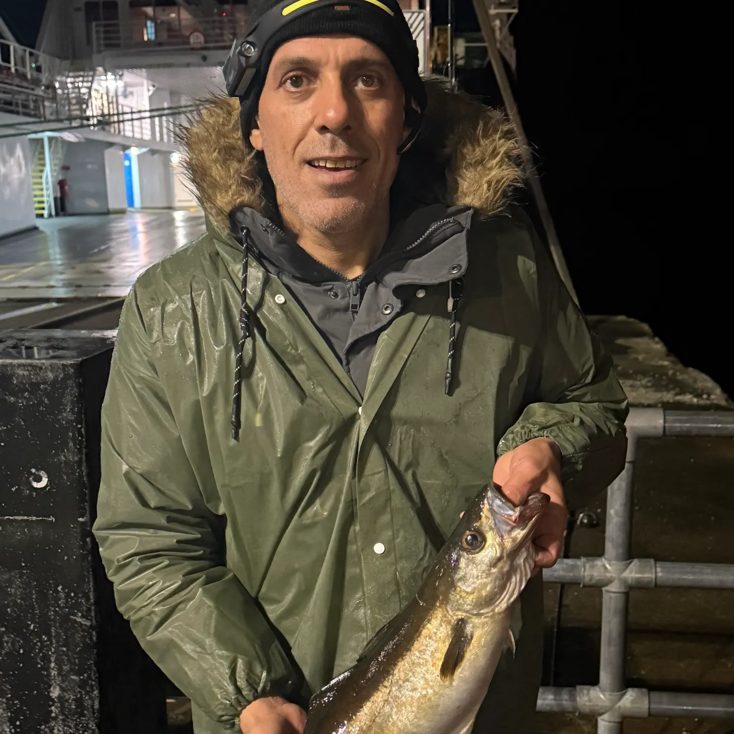 Atlantic pollock caught on Fishbrain