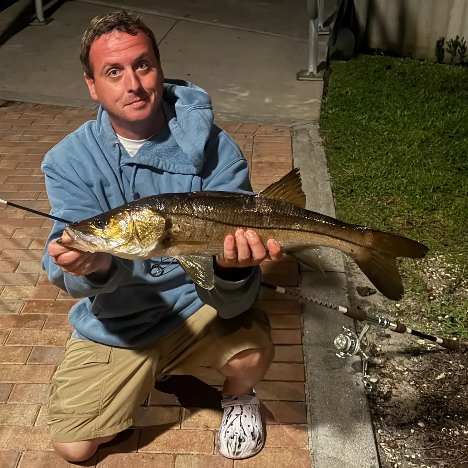 Common snook caught on Fishbrain