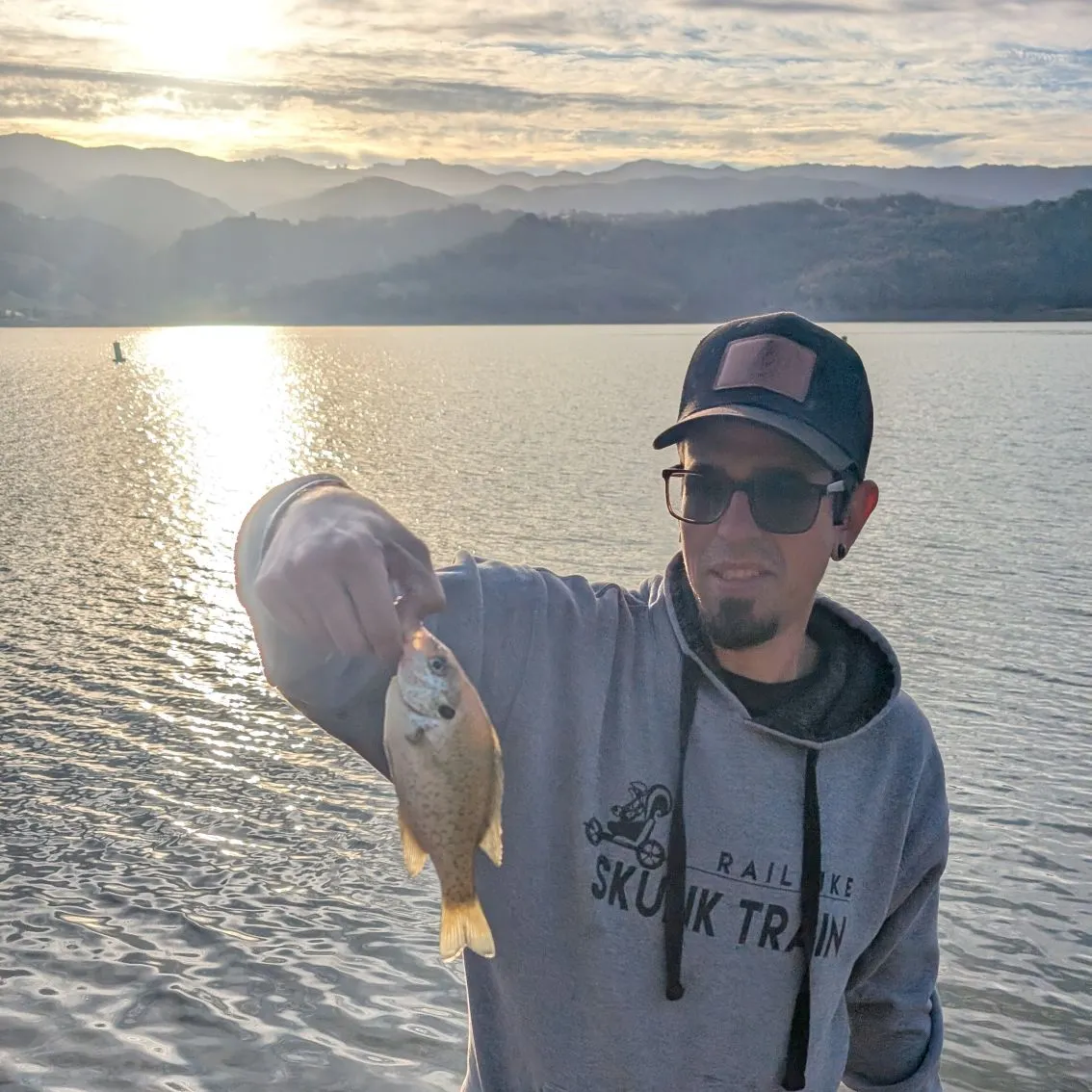 Bluegill caught on Fishbrain