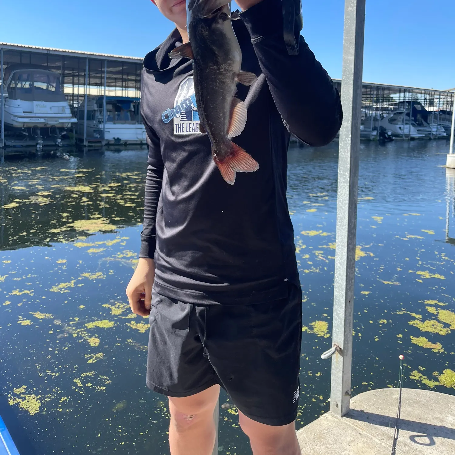 Black bullhead caught on Fishbrain