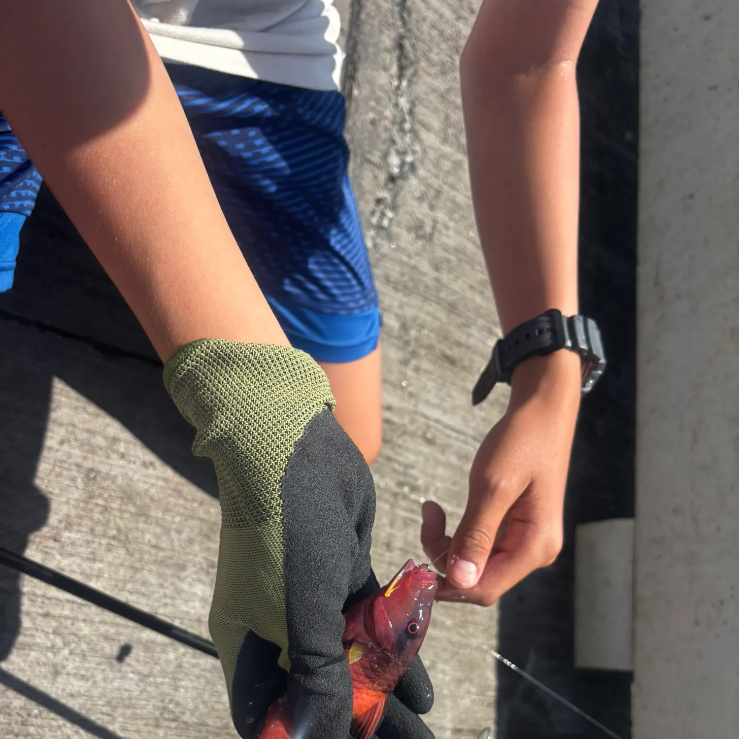 The most recent Manybar goatfish catches on Fishbrain