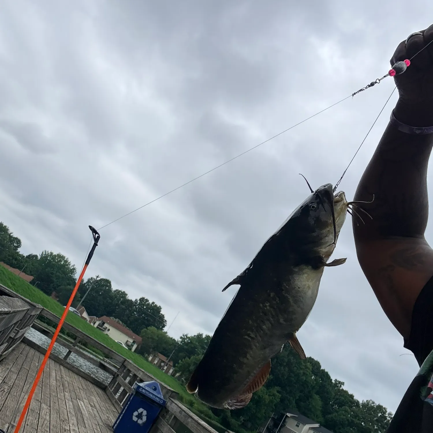 catch