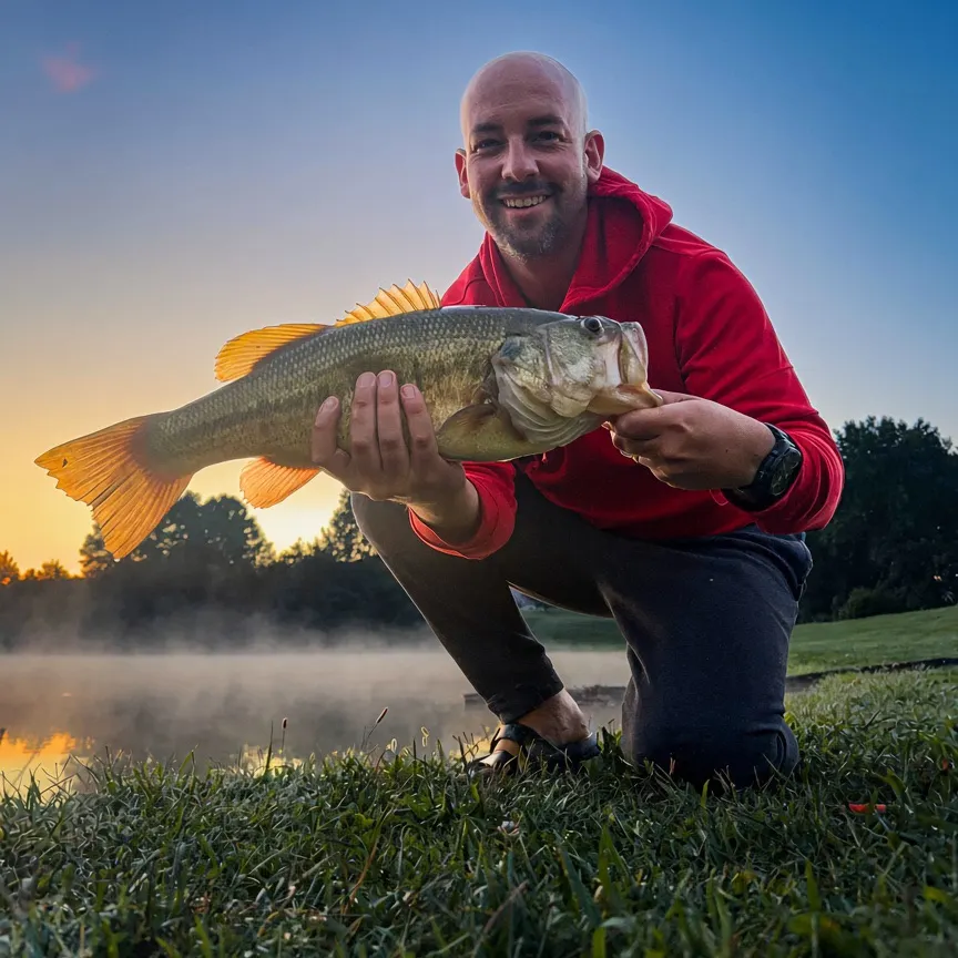 Largemouth bass caught on Fishbrain