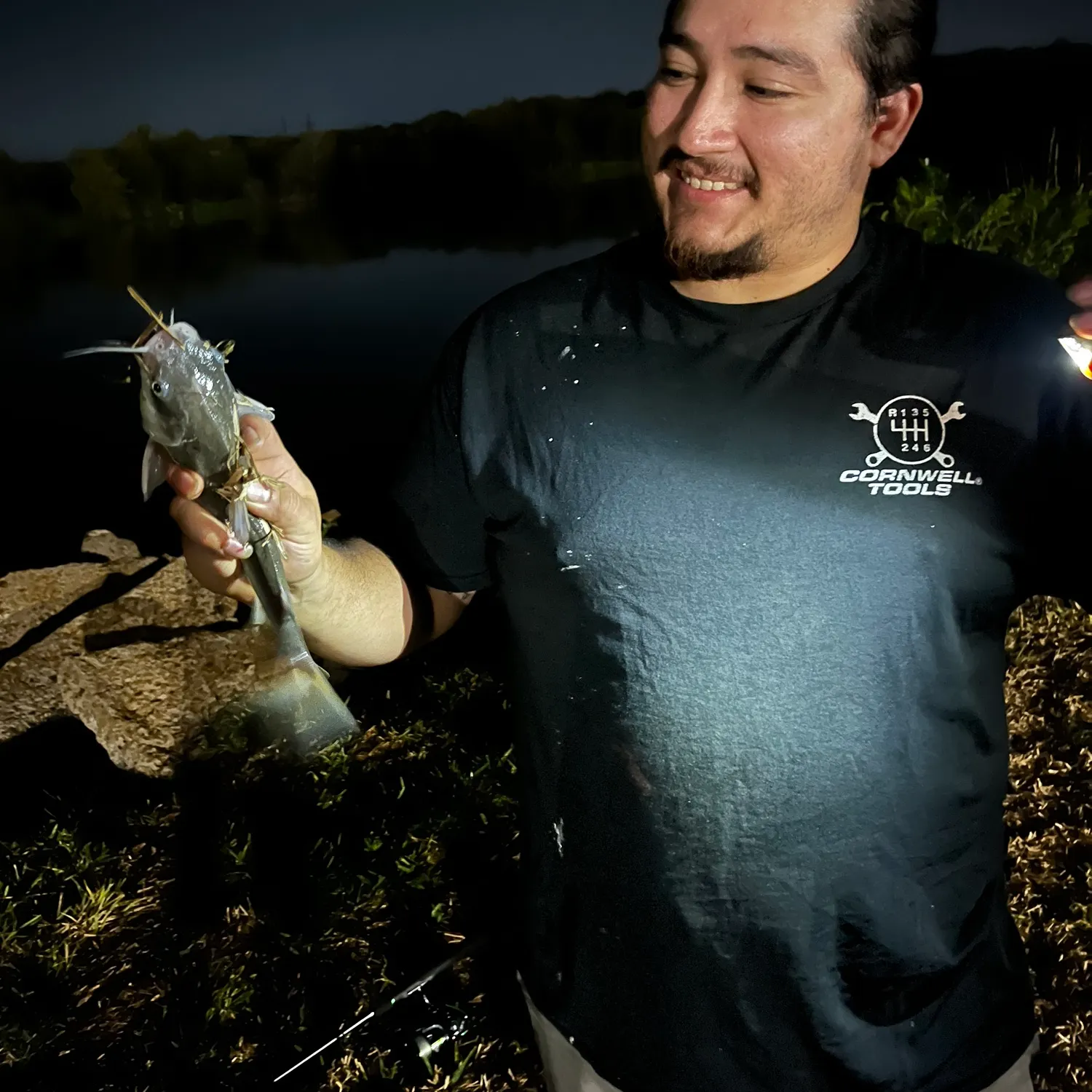 Gafftopsail sea catfish caught on Fishbrain